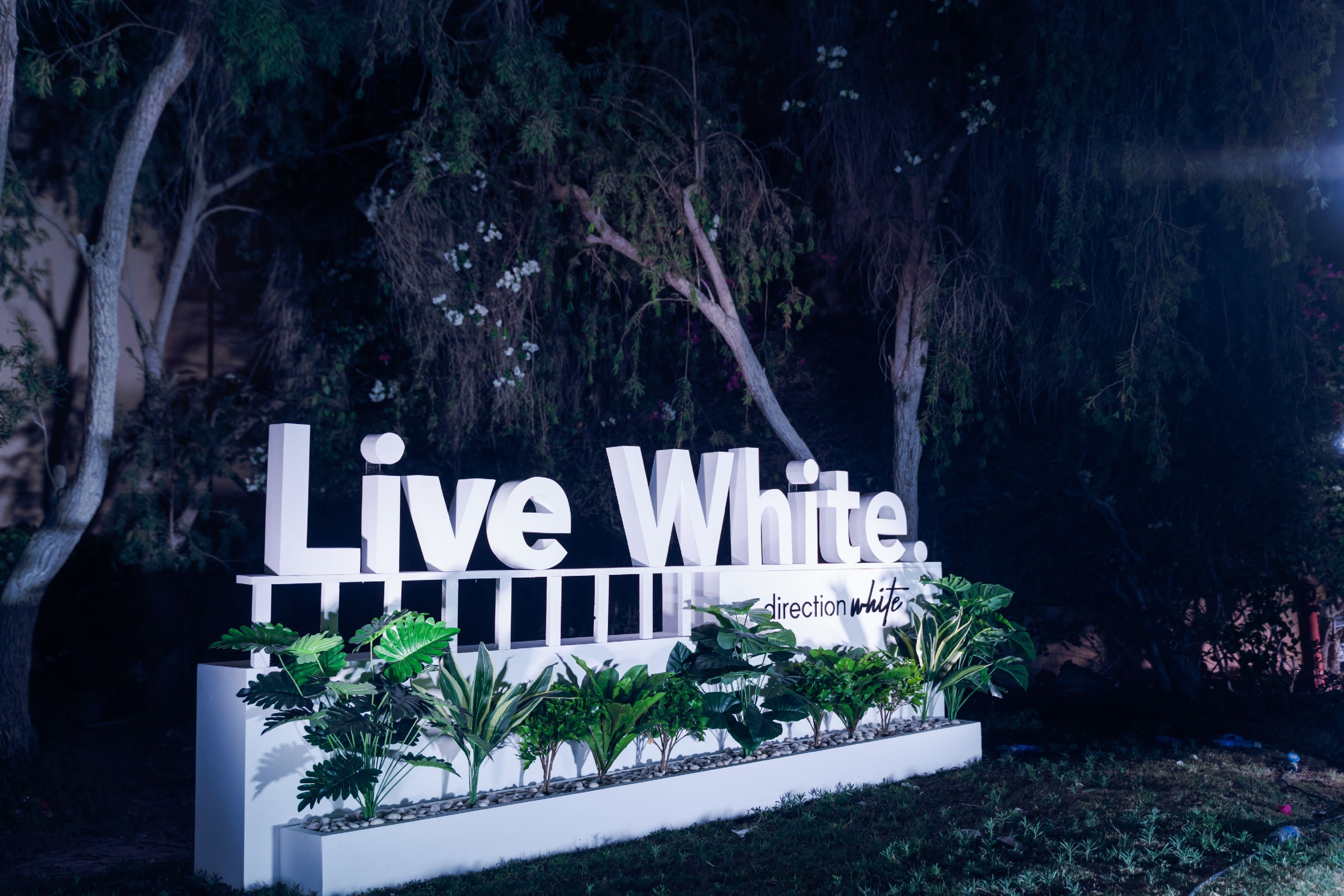 Direction White — Arabella