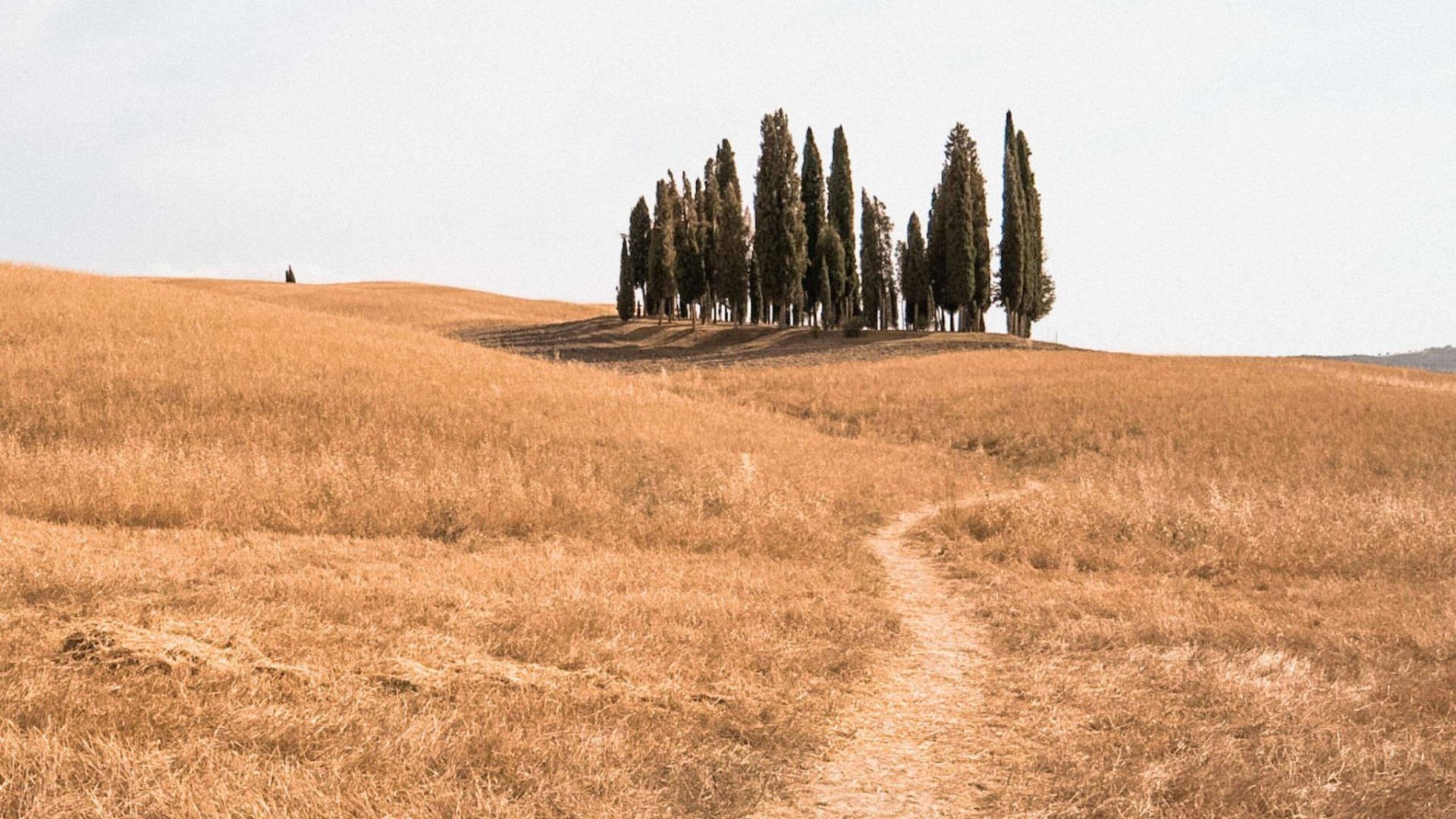 Via Francigena da Siena a Bolsena - foto 1