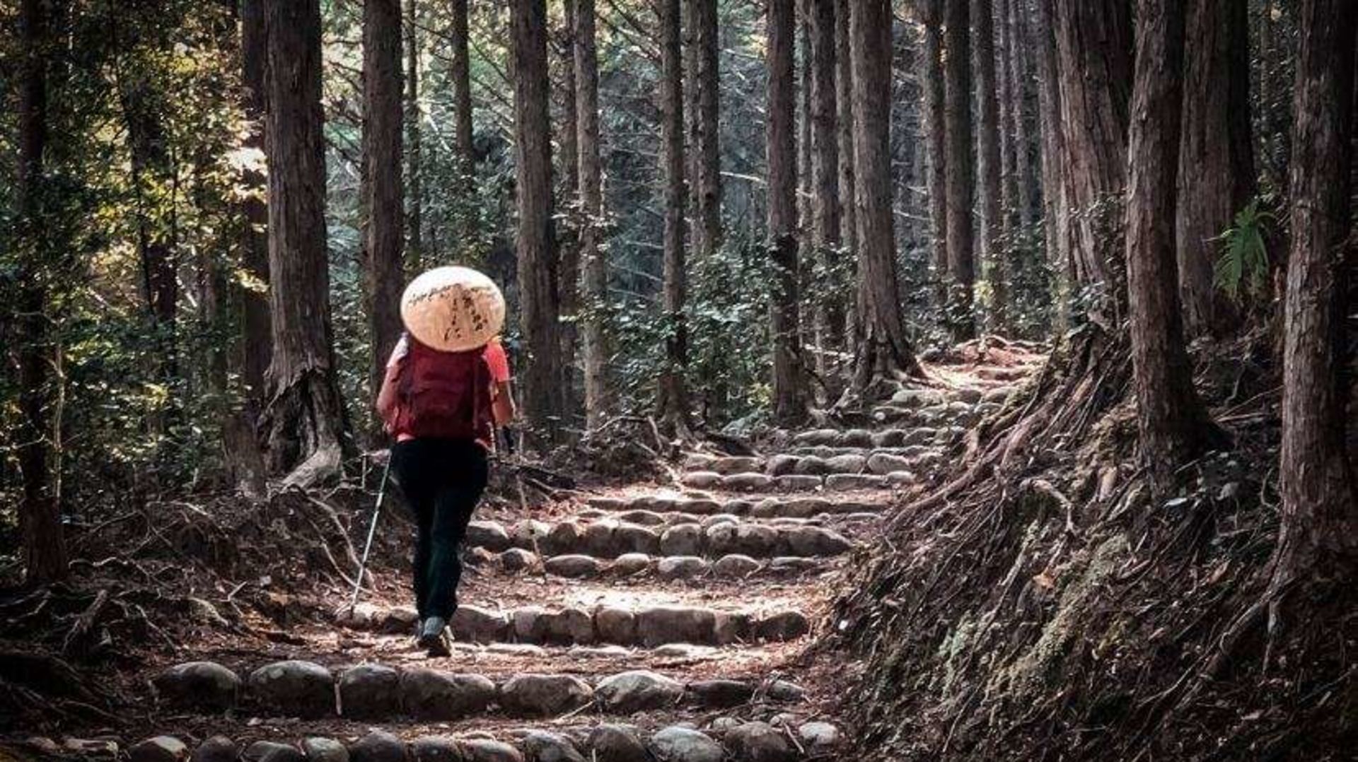 Kumano Kodo – Un Peregrinaje Sagrado en Japón