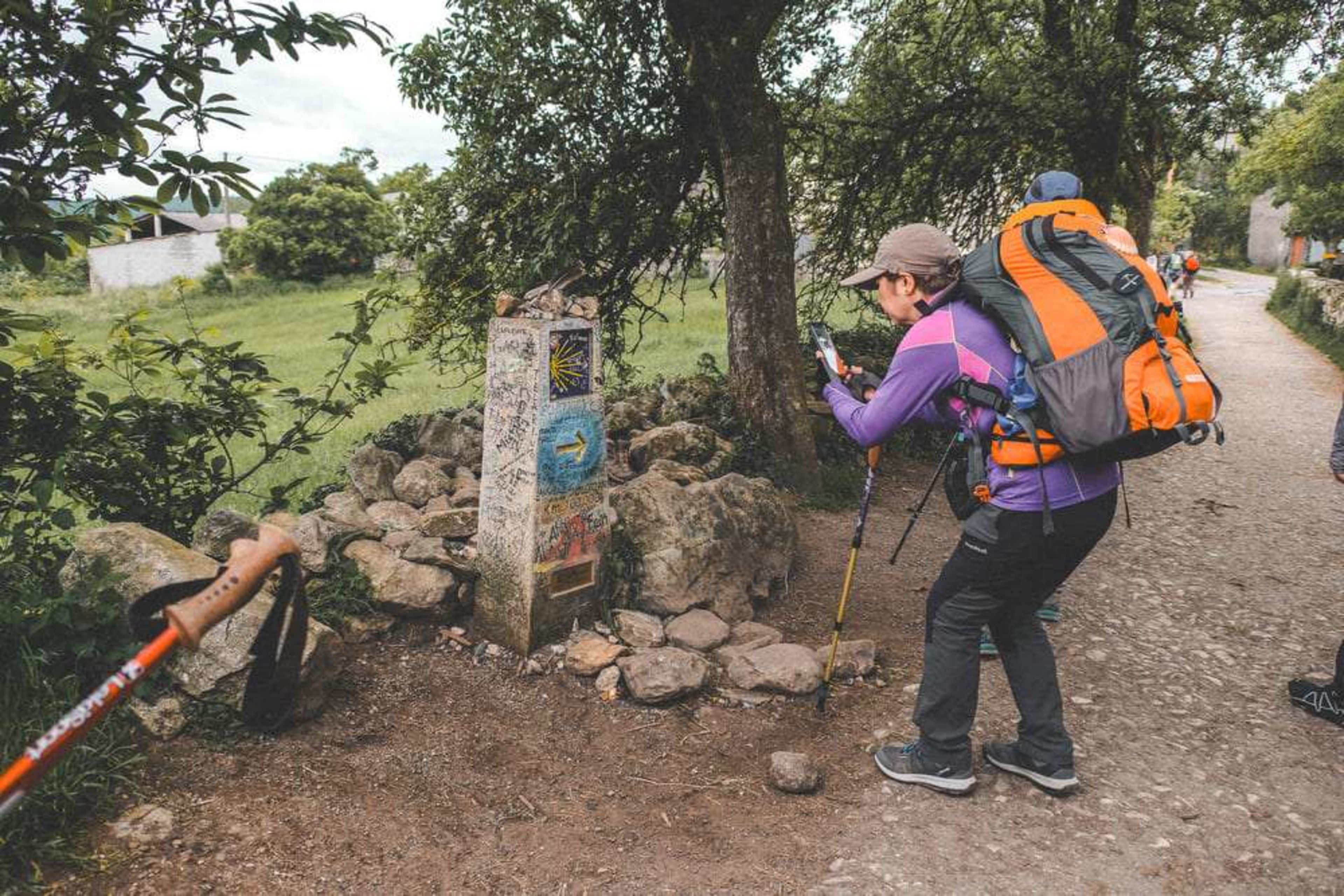 Camino de Santiago by the Numbers: February 2024