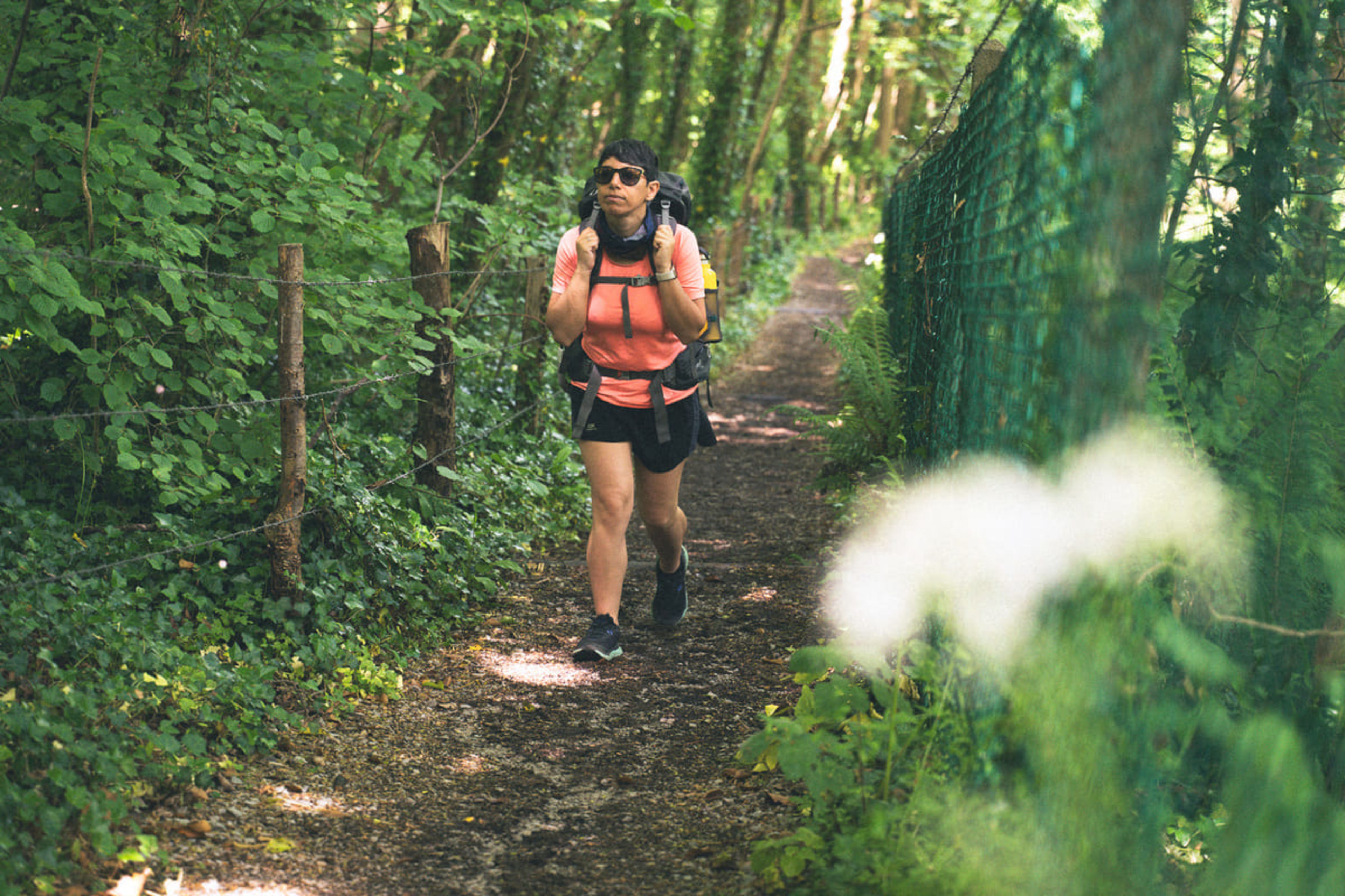 Why Walk: Discover a Transformative Journey on Foot