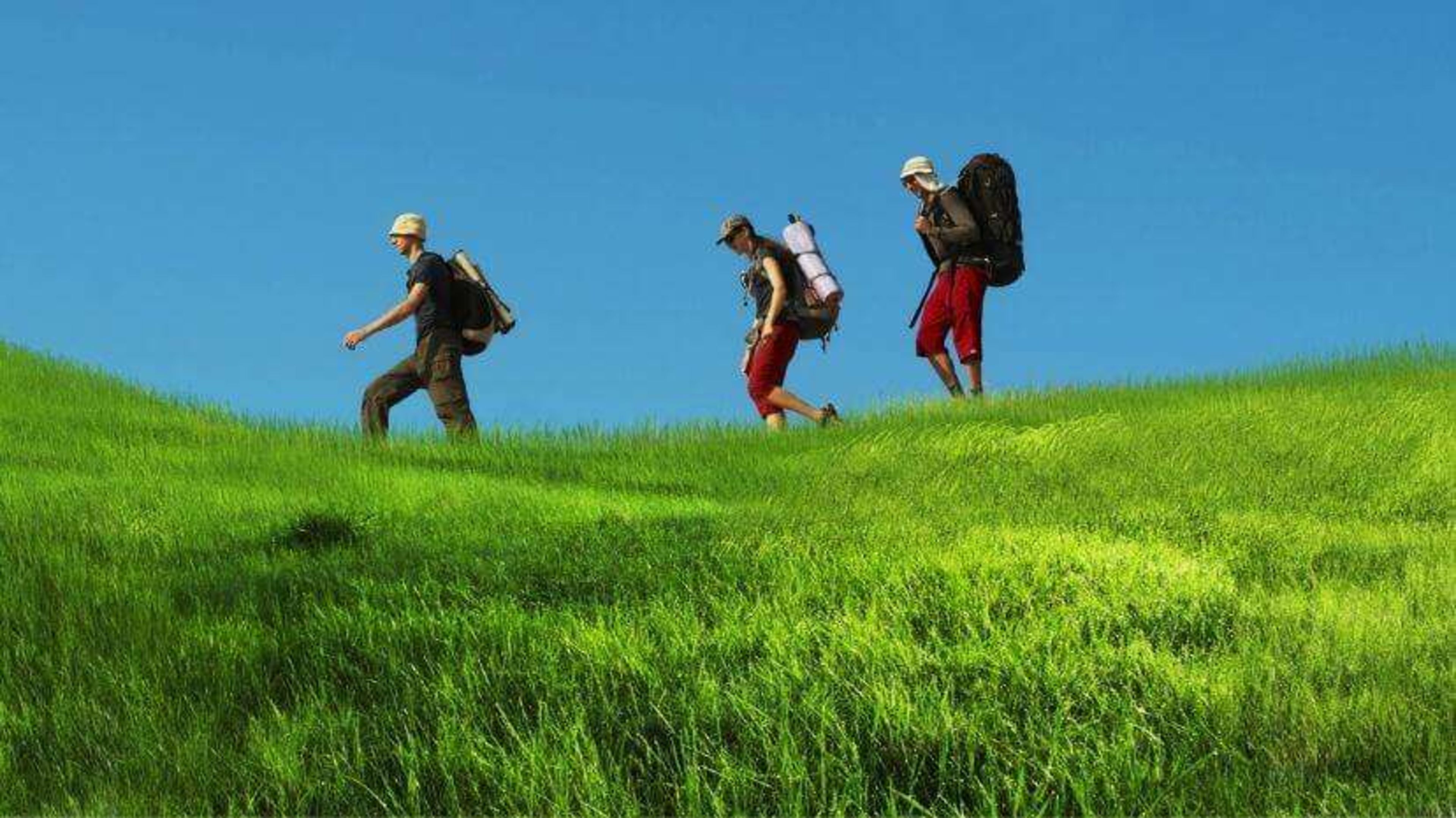 10 Essential Tips for Summer Walking Adventures