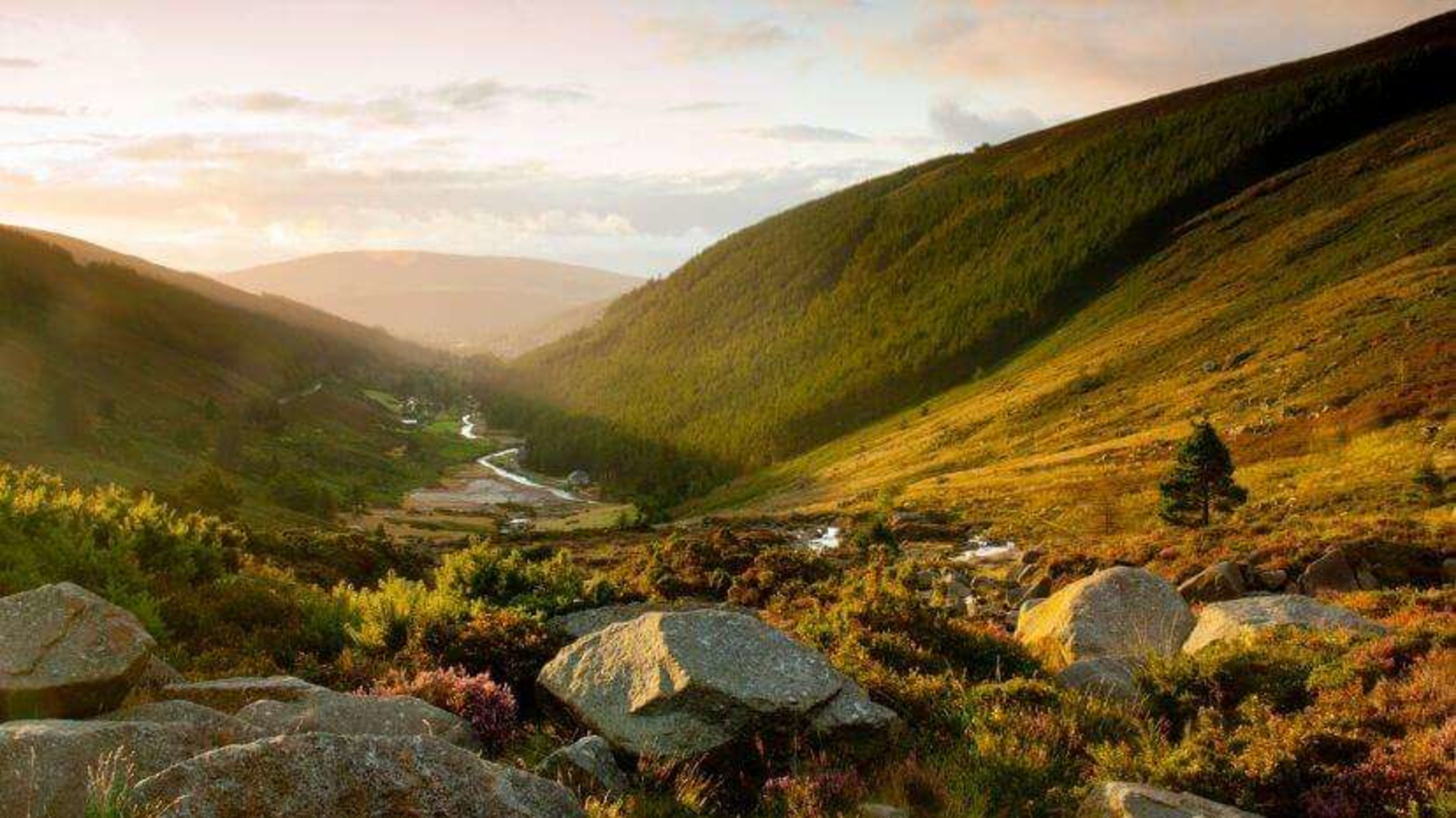 Wicklow Way – 7-Day Trek Through Ireland's Emerald Mountains