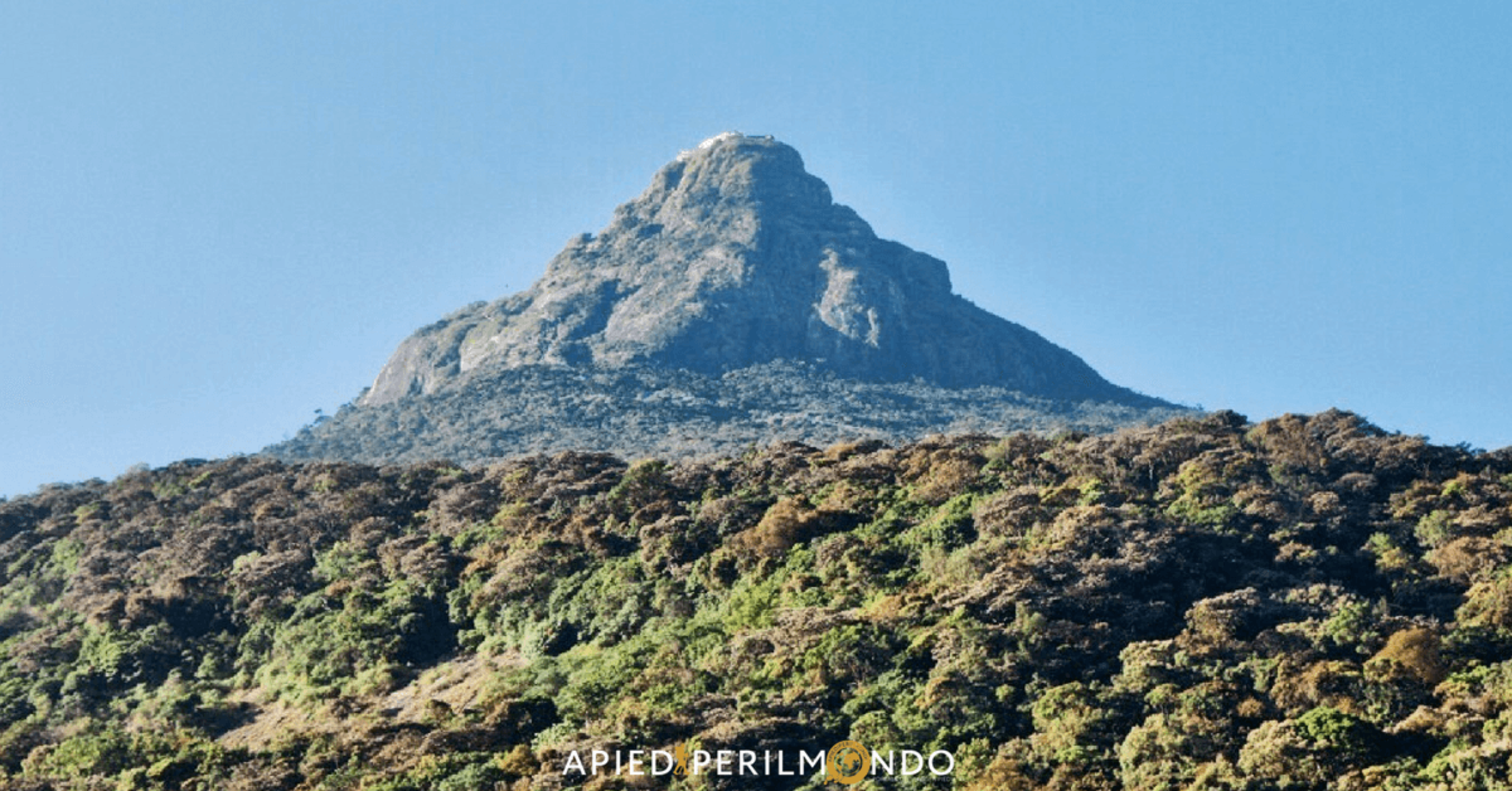 Adam's Peak Pilgrimage: A Sacred Journey in Sri Lanka
