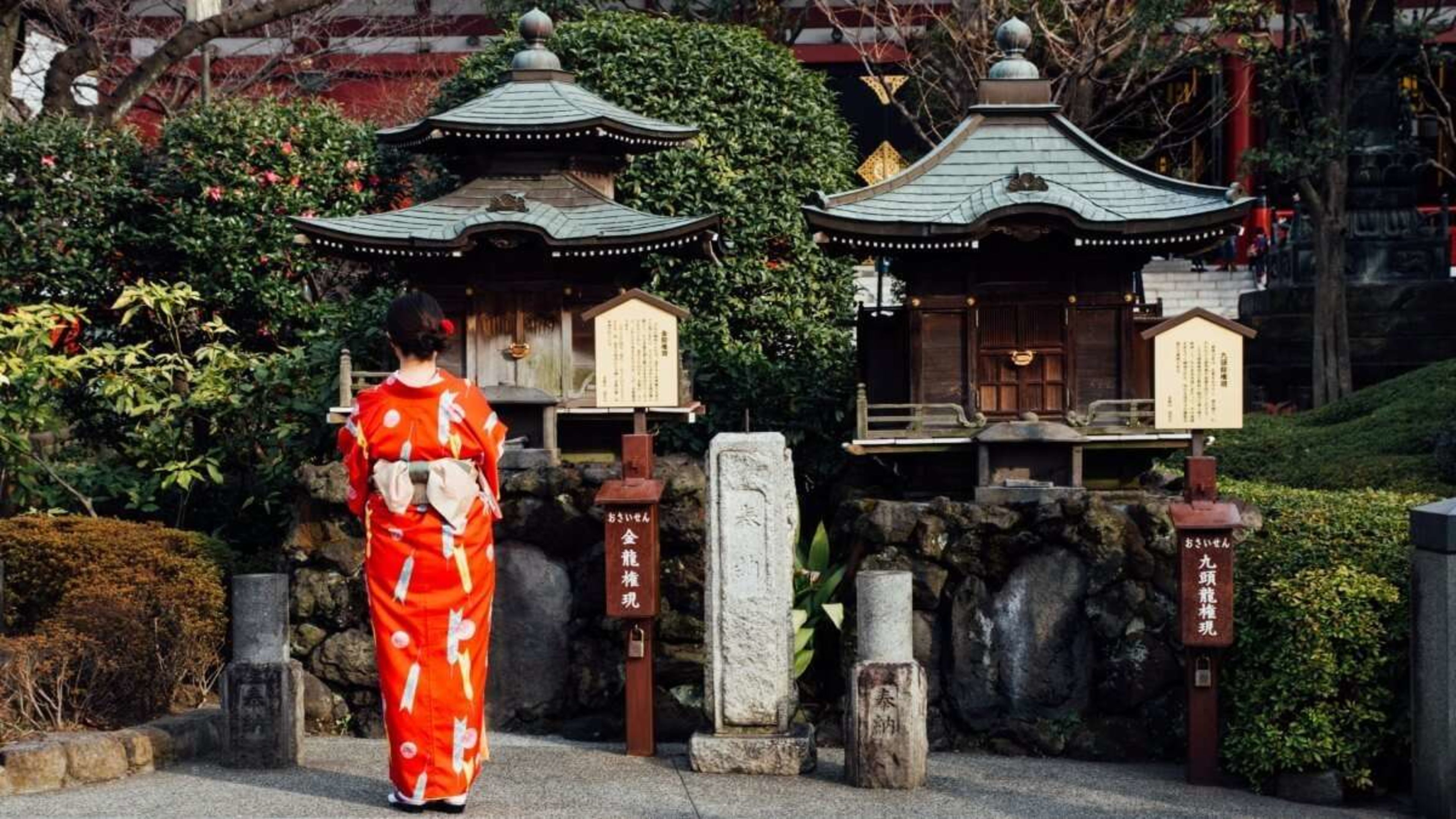 Urban Trekking in Tokyo: Walking Through Japan's Vibrant Capital