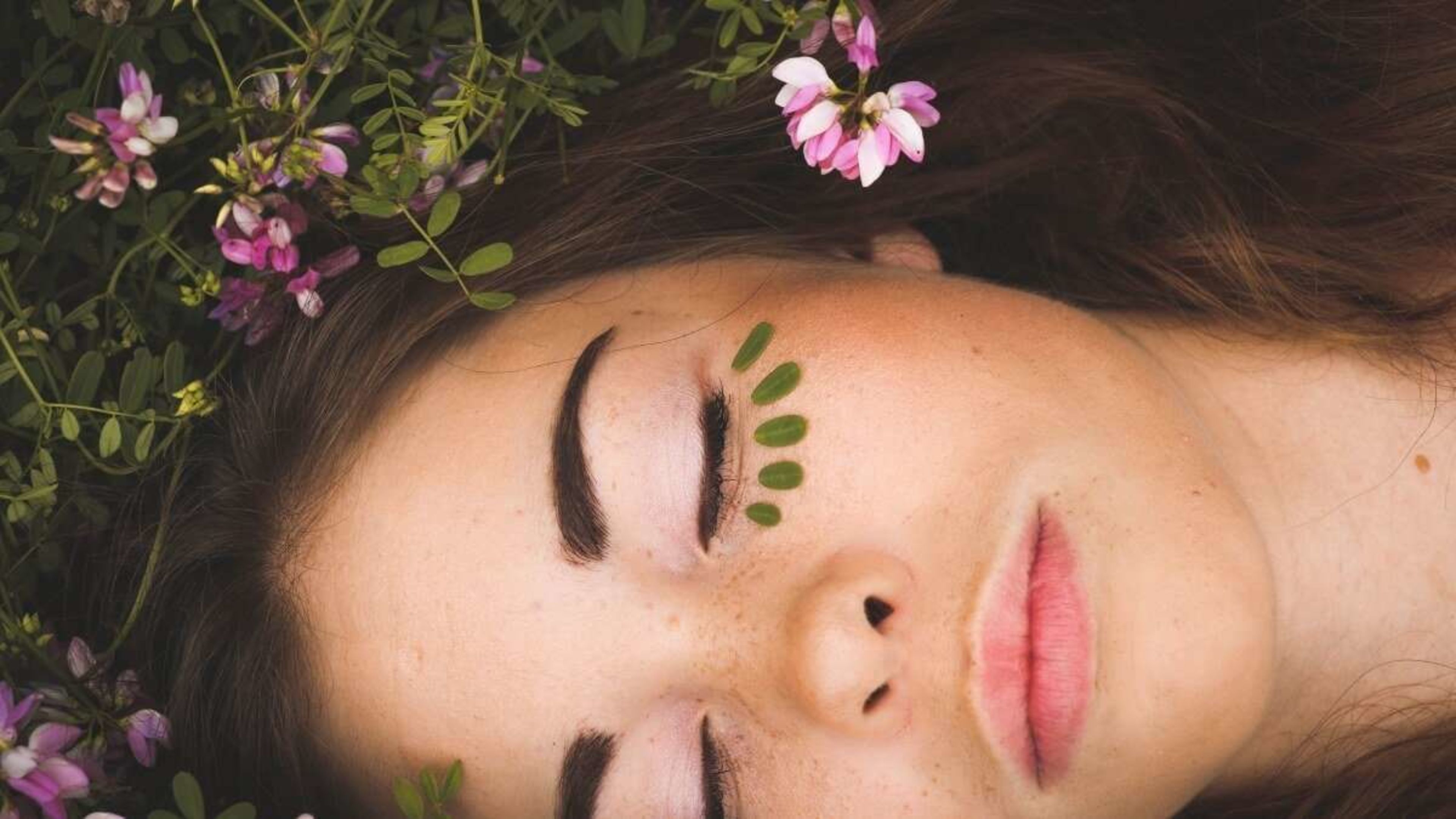 Walking as Aromatherapy: The Healing Power of Forest Bathing