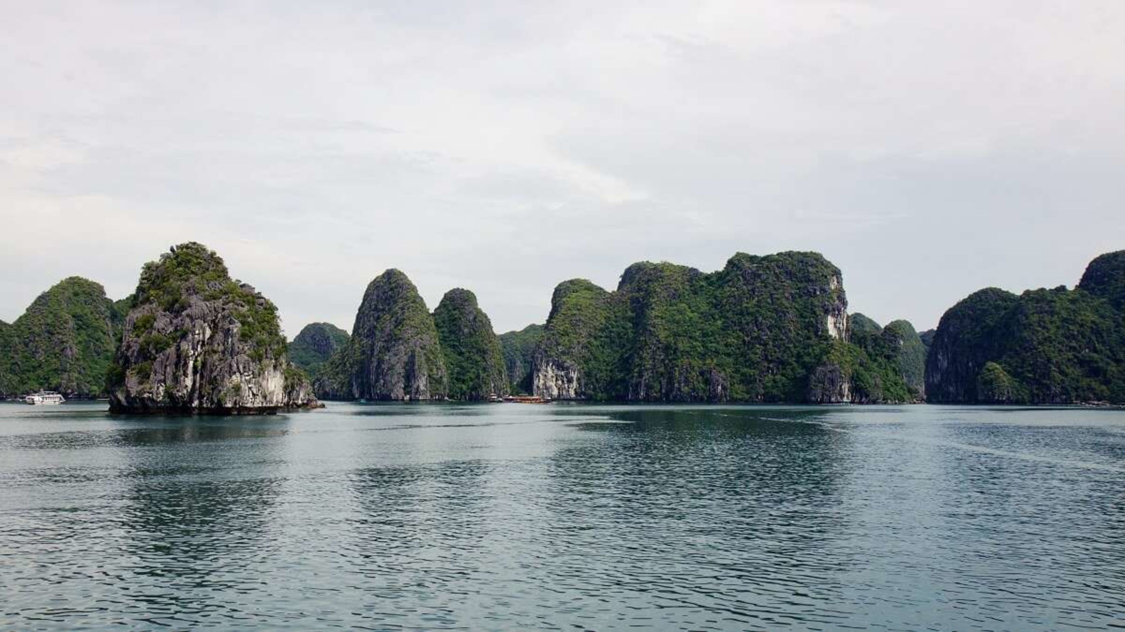 Northern Vietnam Trekking: Terraced Rice Fields and Water Buffalo