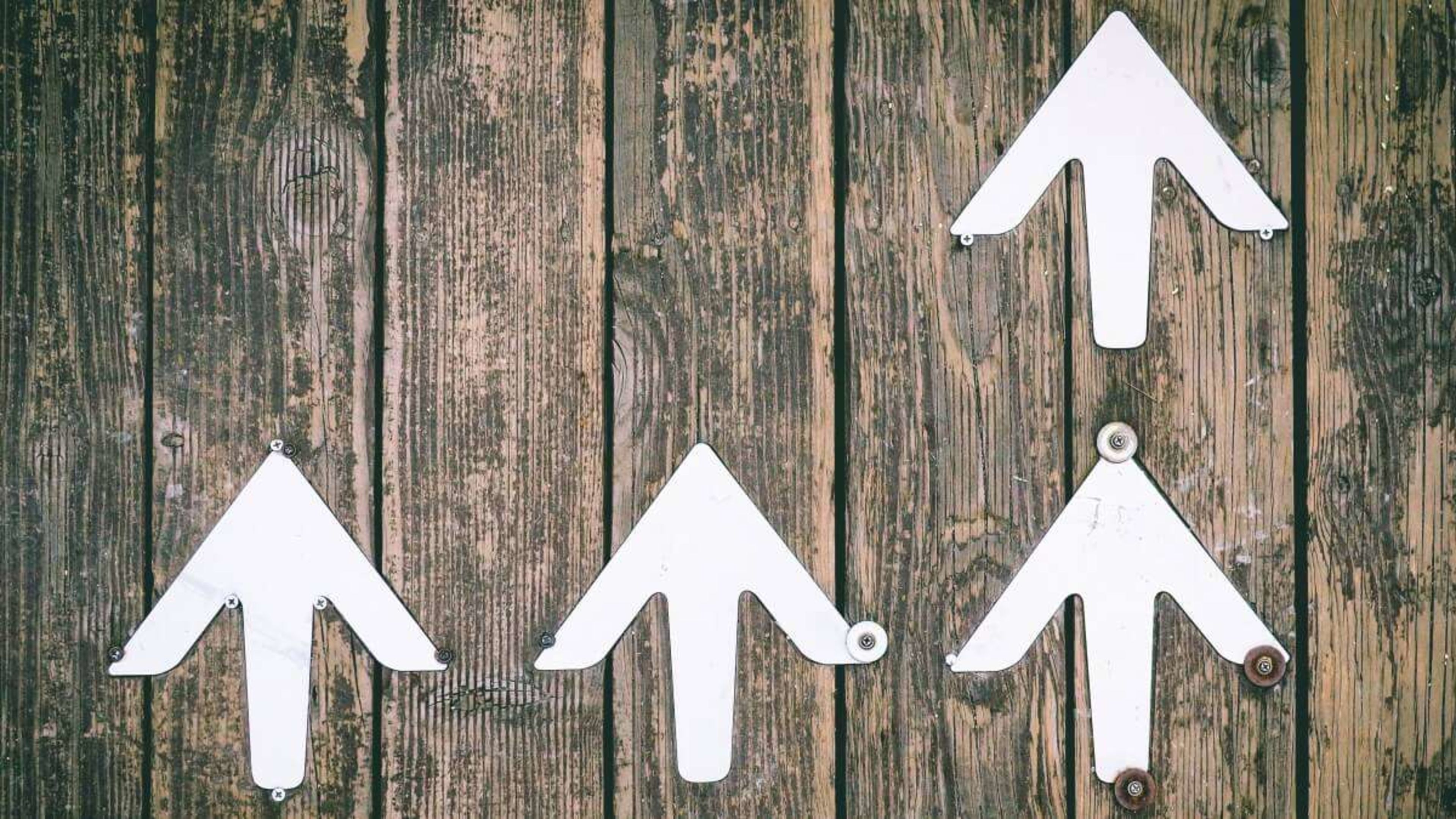 Preparing for the Journey: A Beginner's Guide to Walking