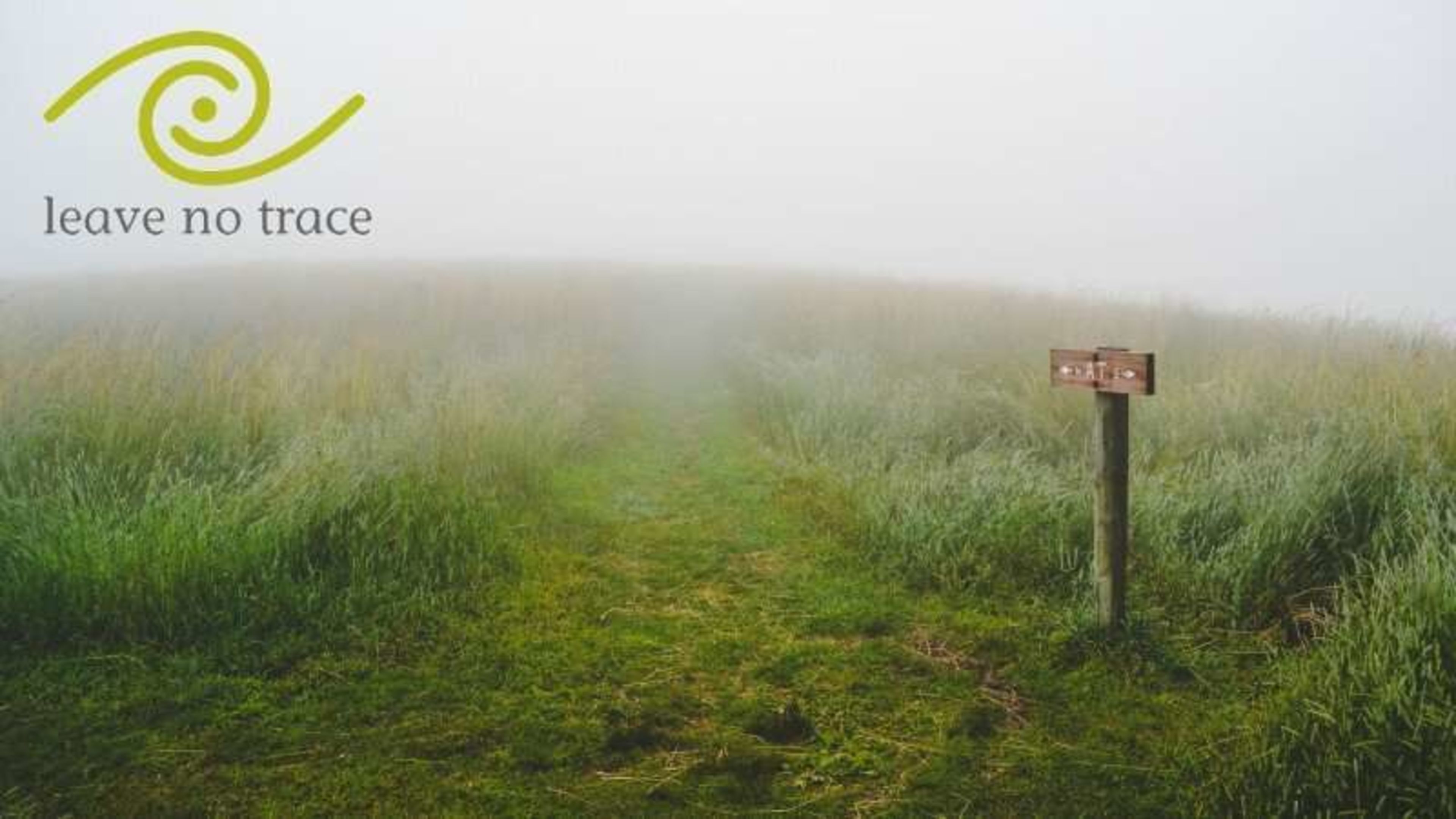 Leave No Trace: The 7 Ethical Principles for Responsible Trekking