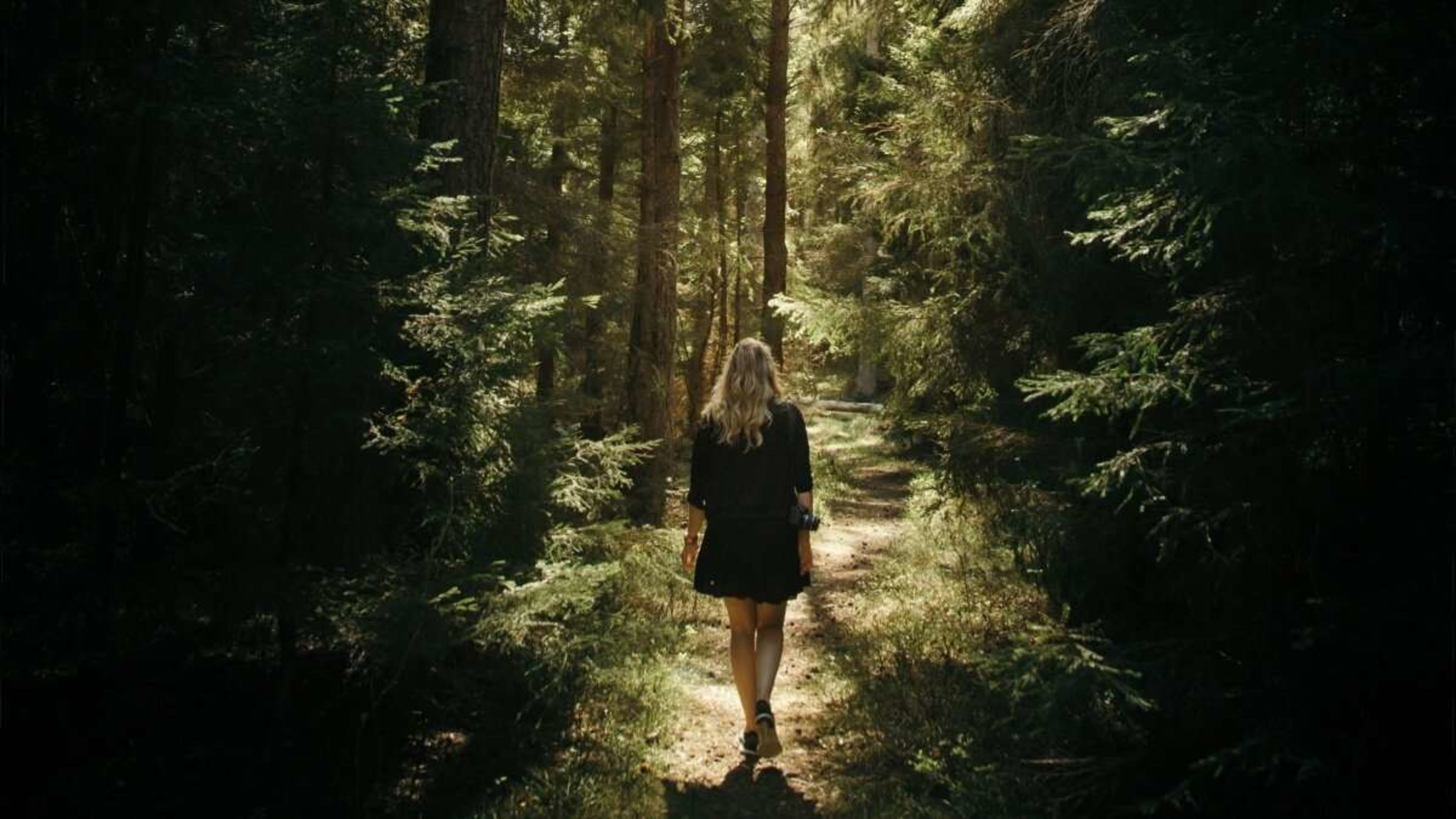 Walking Among Trees: Oxygen for the Soul