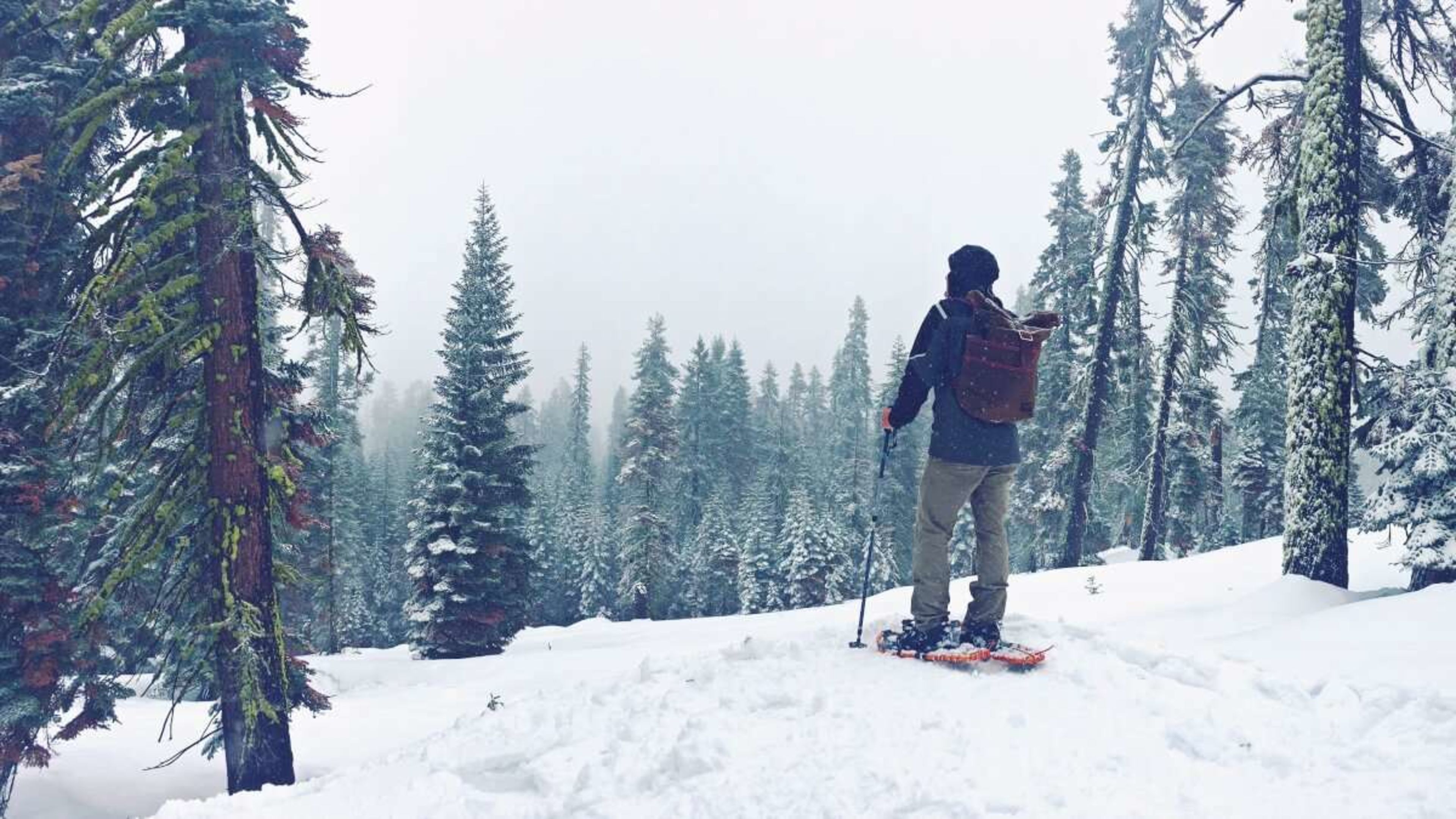 How to Choose the Right Snowshoes for Winter Hiking