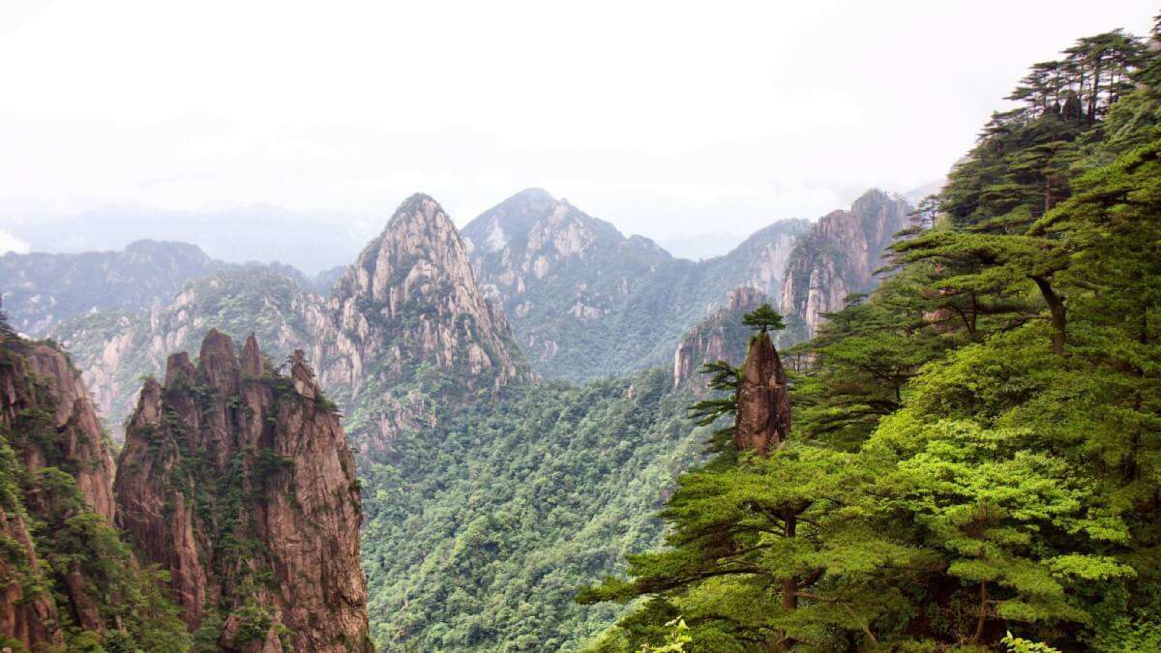 Trekking Yellow Mountain: Lost in the Sea of Clouds
