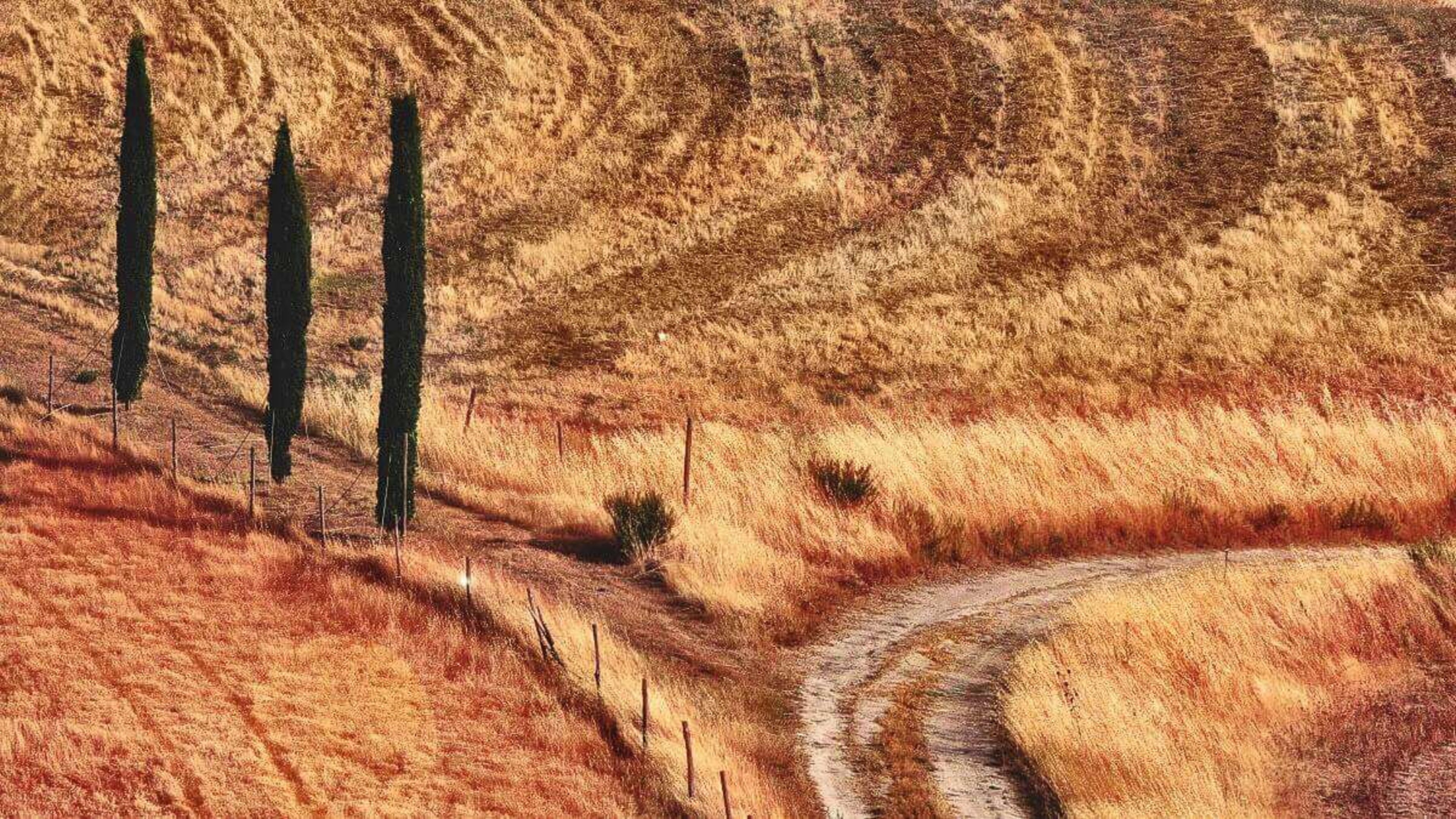 Ancient Roads of Tuscany: The Via Romee