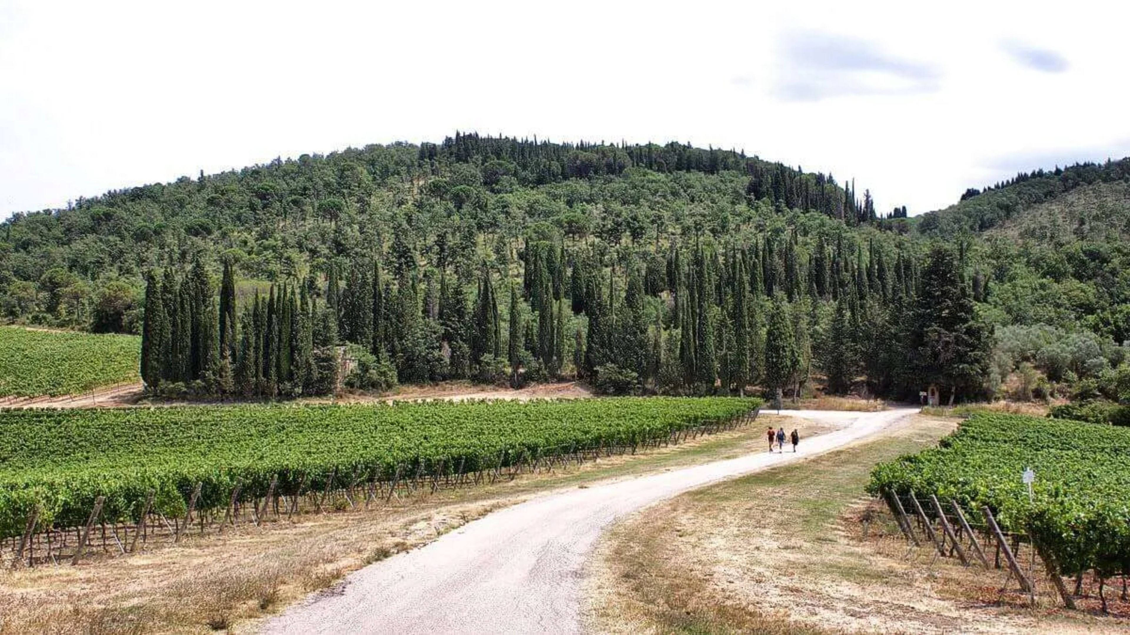 Walking the Via Sanese in Tuscany