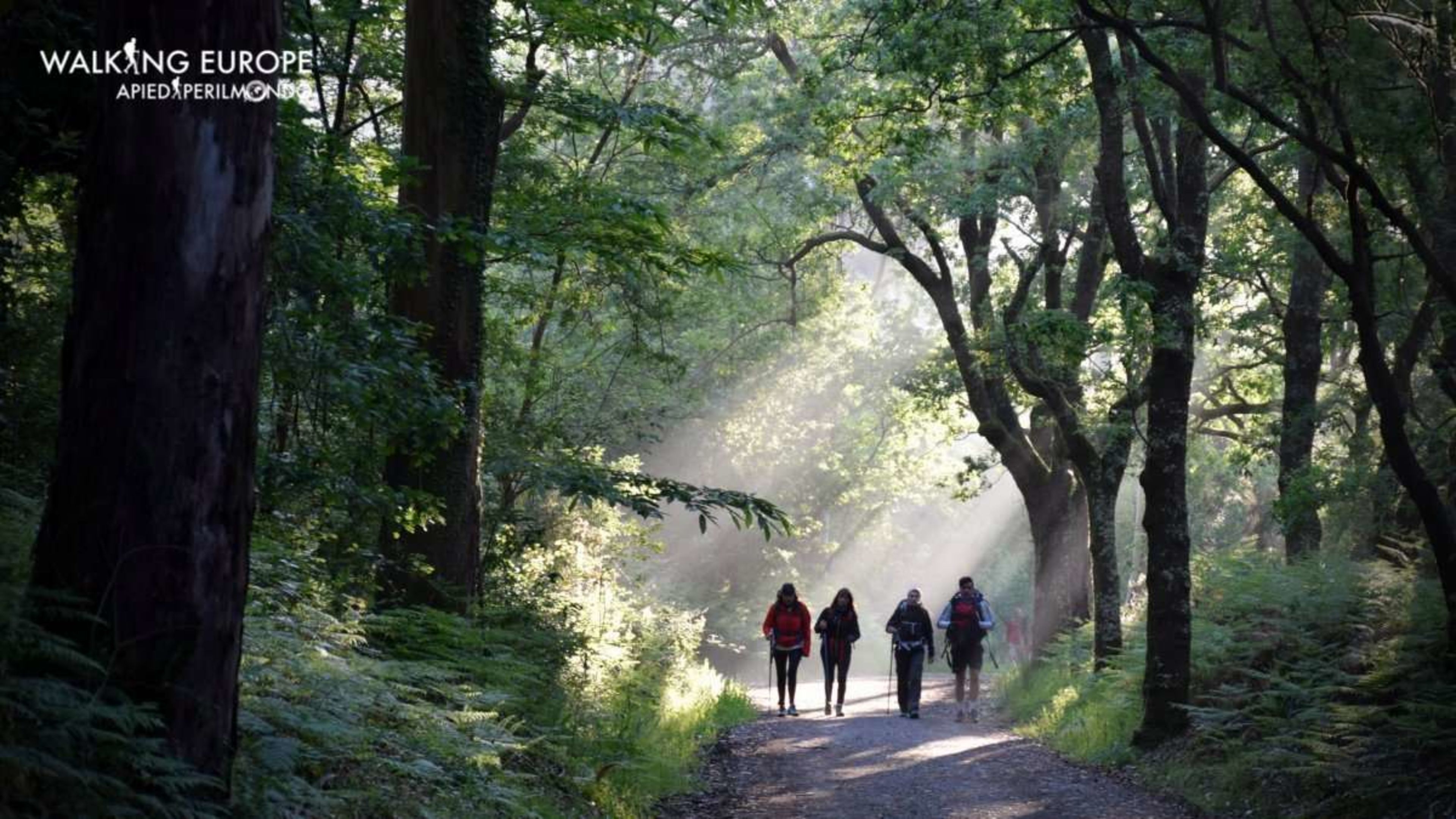 Camino de Santiago from Sarria: A Photographer's Journey