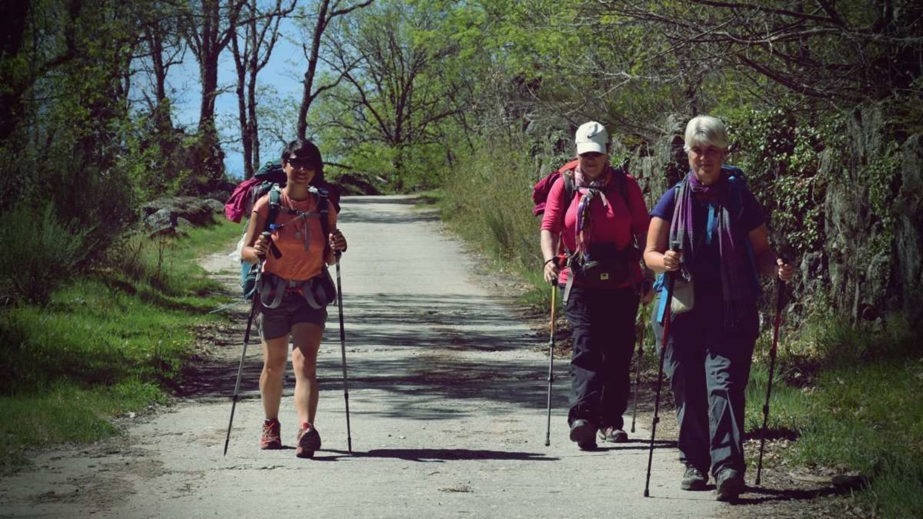 Is the Camino de Santiago Just a Trend?