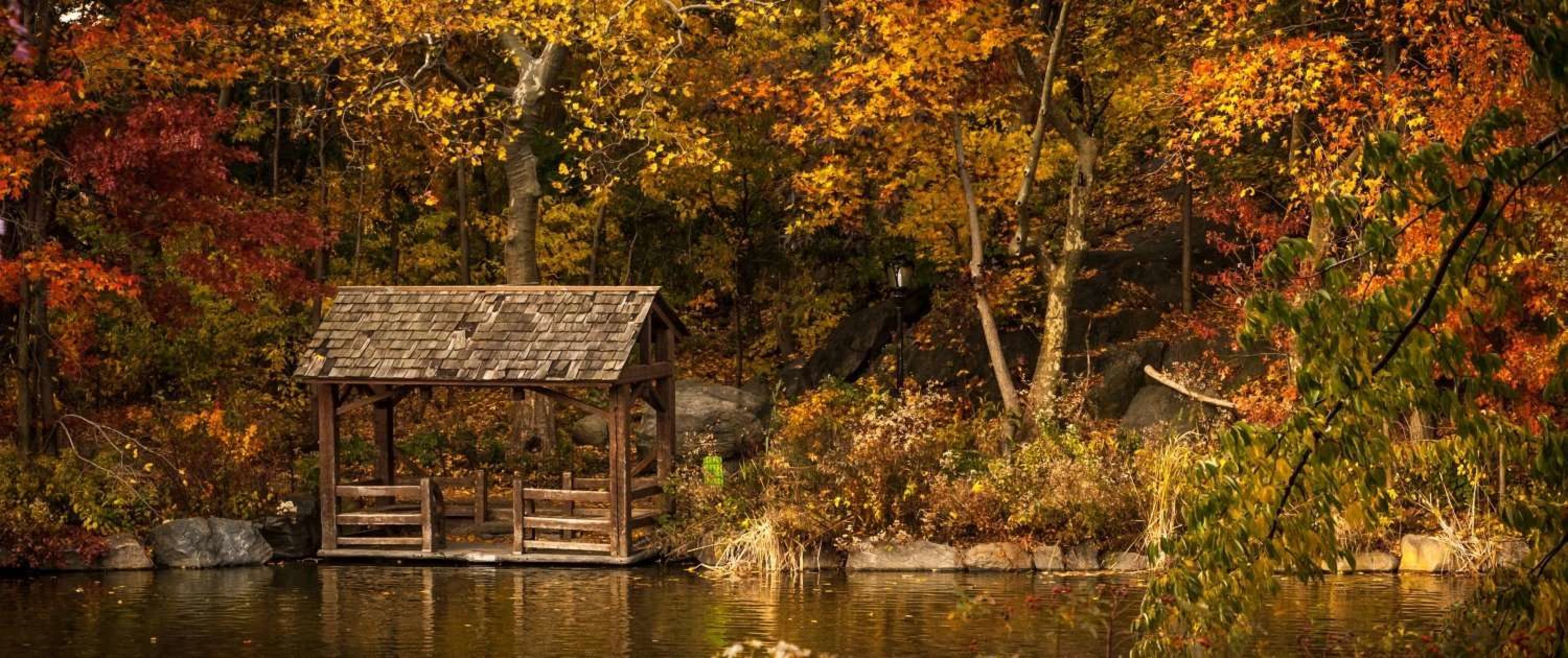 Autumn Walking: 6 Reasons to Hit the Trails This Season