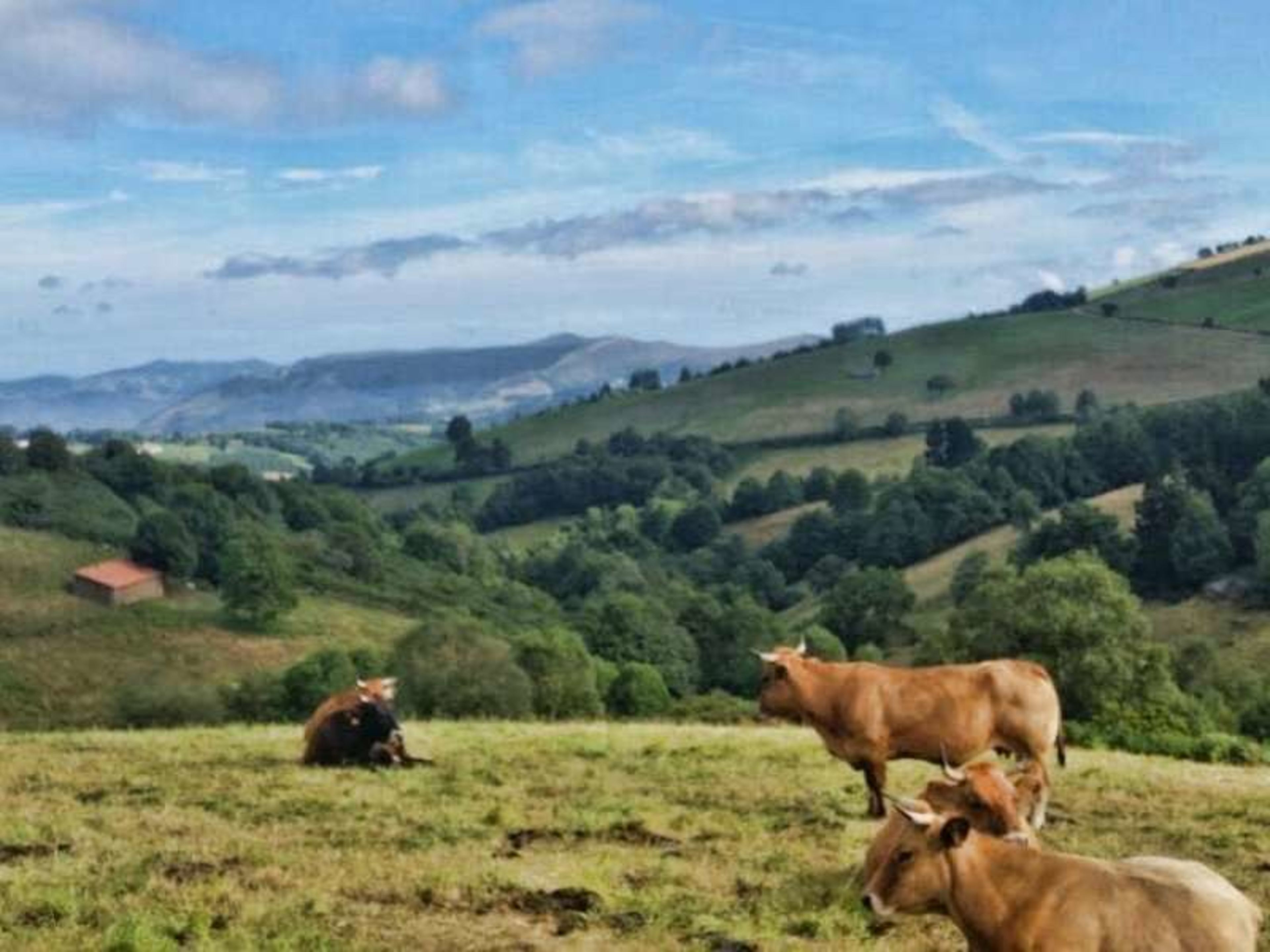 Discovering the Camino Primitivo: A Transformative Walking Journey