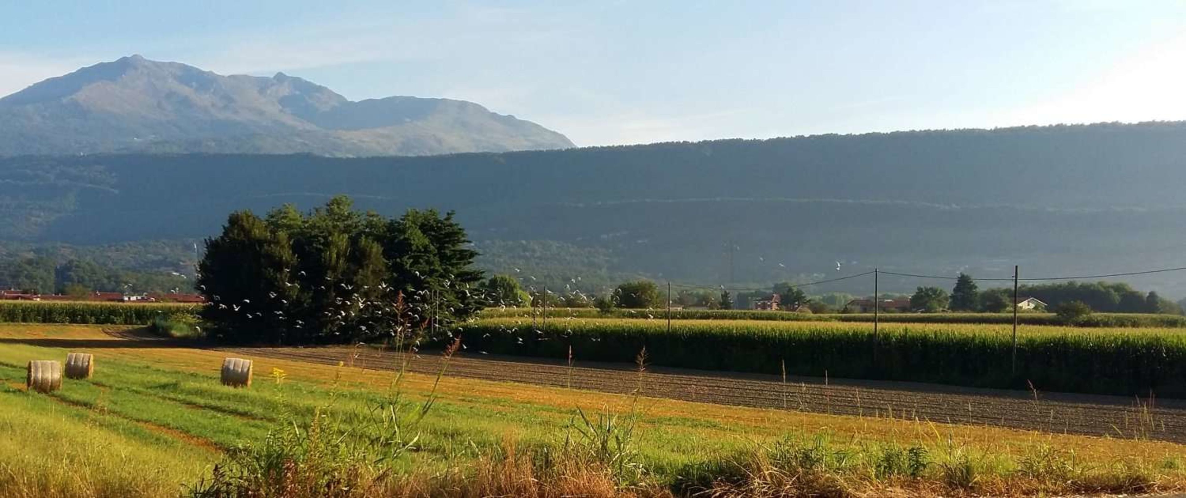 Via Francigena: Ivrea to Pavia – Mountain Descent into the Po Valley
