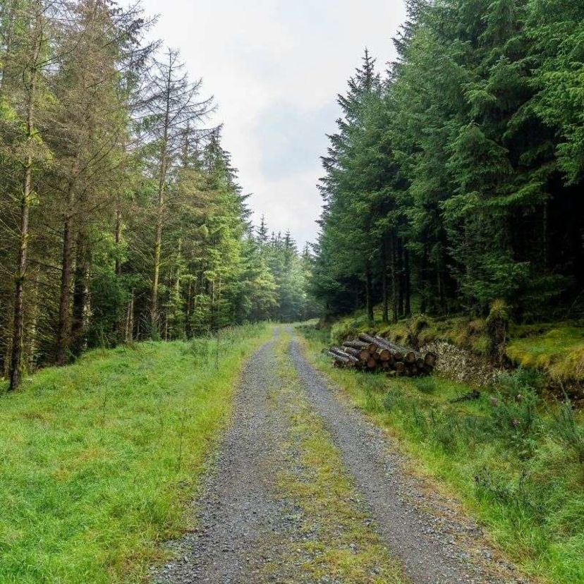 Wicklow Way: Kurzversion mit 2 Nächten in Dublin - foto 5