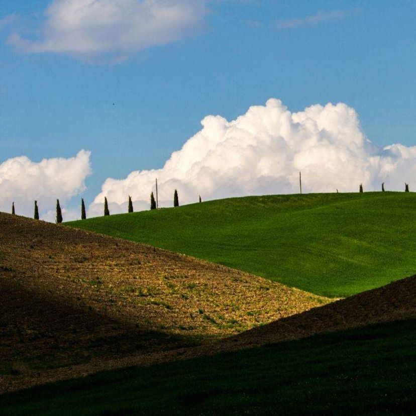 Via Francigena da Siena a Bolsena - foto 7