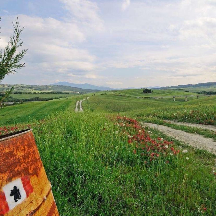 Via Francigena da Siena a Bolsena - foto 5