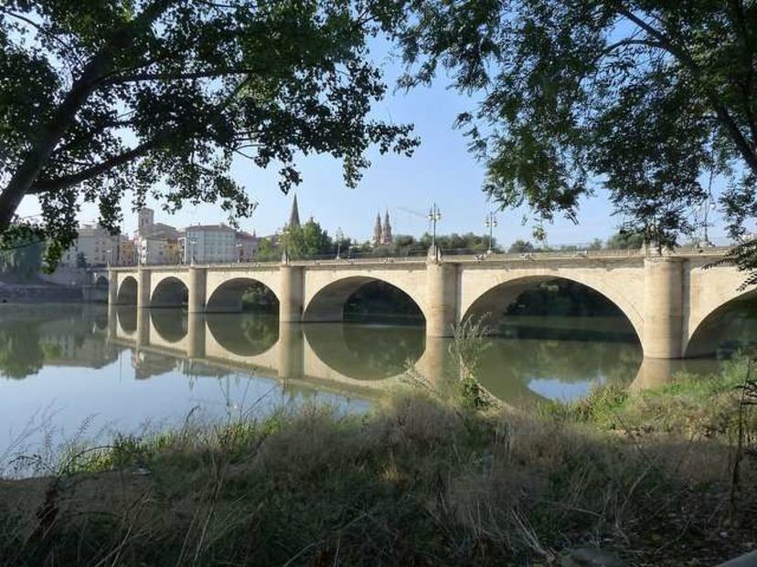 Camino de Santiago de Saint Jean a Logroño - foto 2