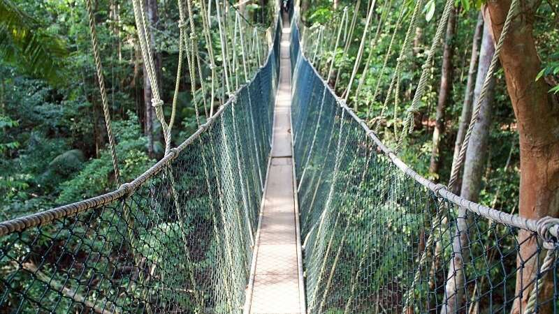 Trekking in Malesia