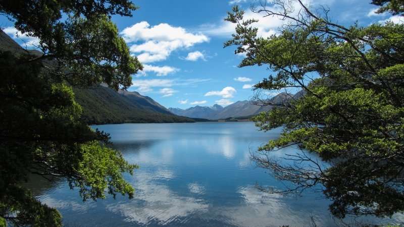 TE ARAROA TRAIL