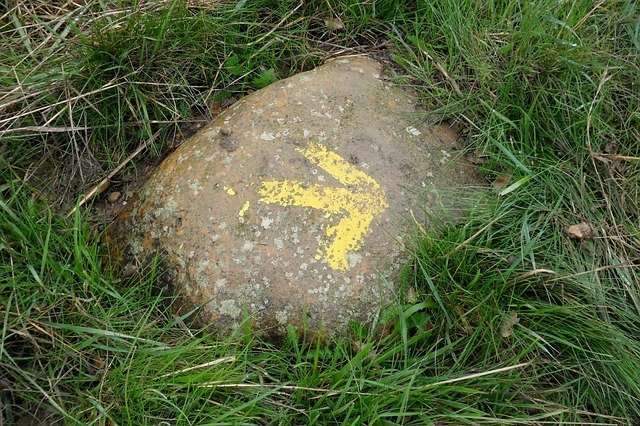 cammino di santiago freccia gialla
curiosità sul Cammino di Santiago