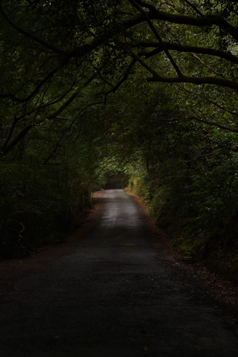 Camino Fragas do Eume