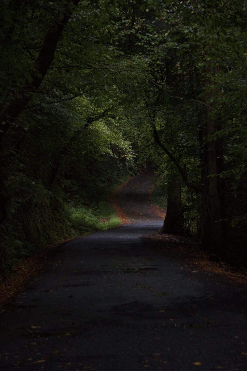 Camino Fragas do Eume