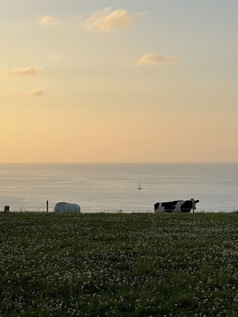 Atardecer en Cantabria