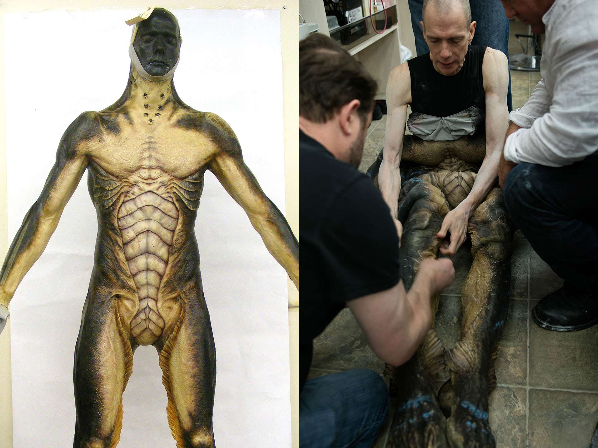 The Shape of Water