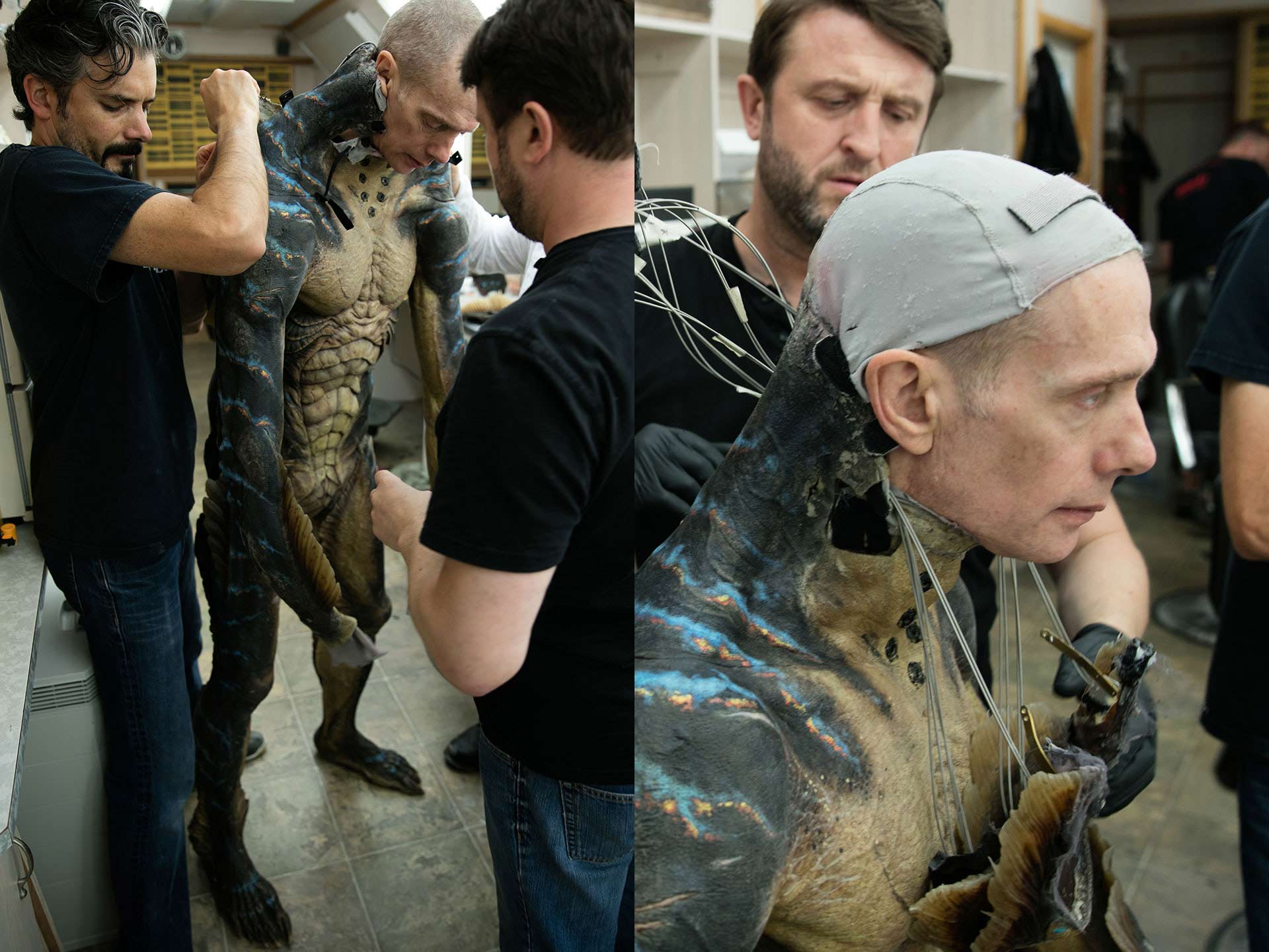 The Shape of Water
