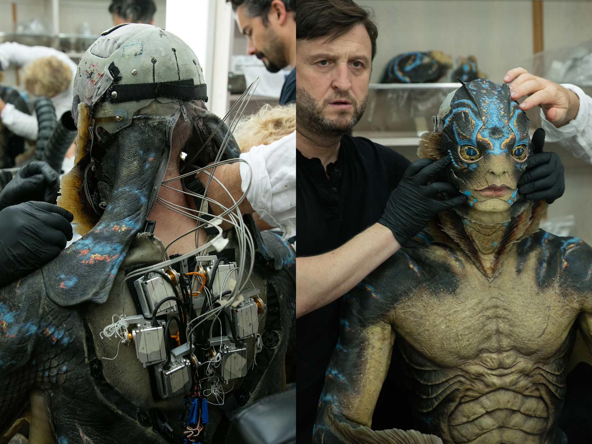 The Shape of Water