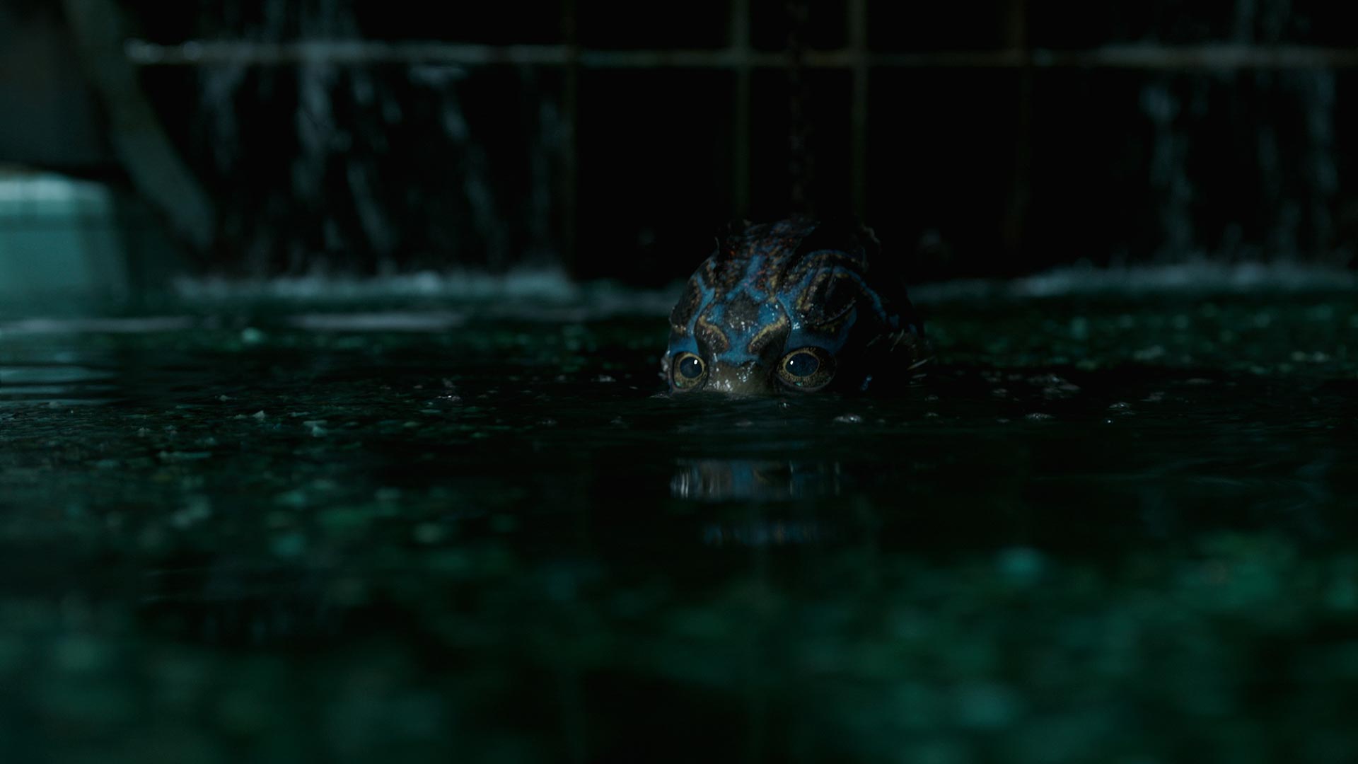 The Shape of Water