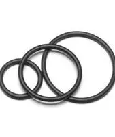 O-ring