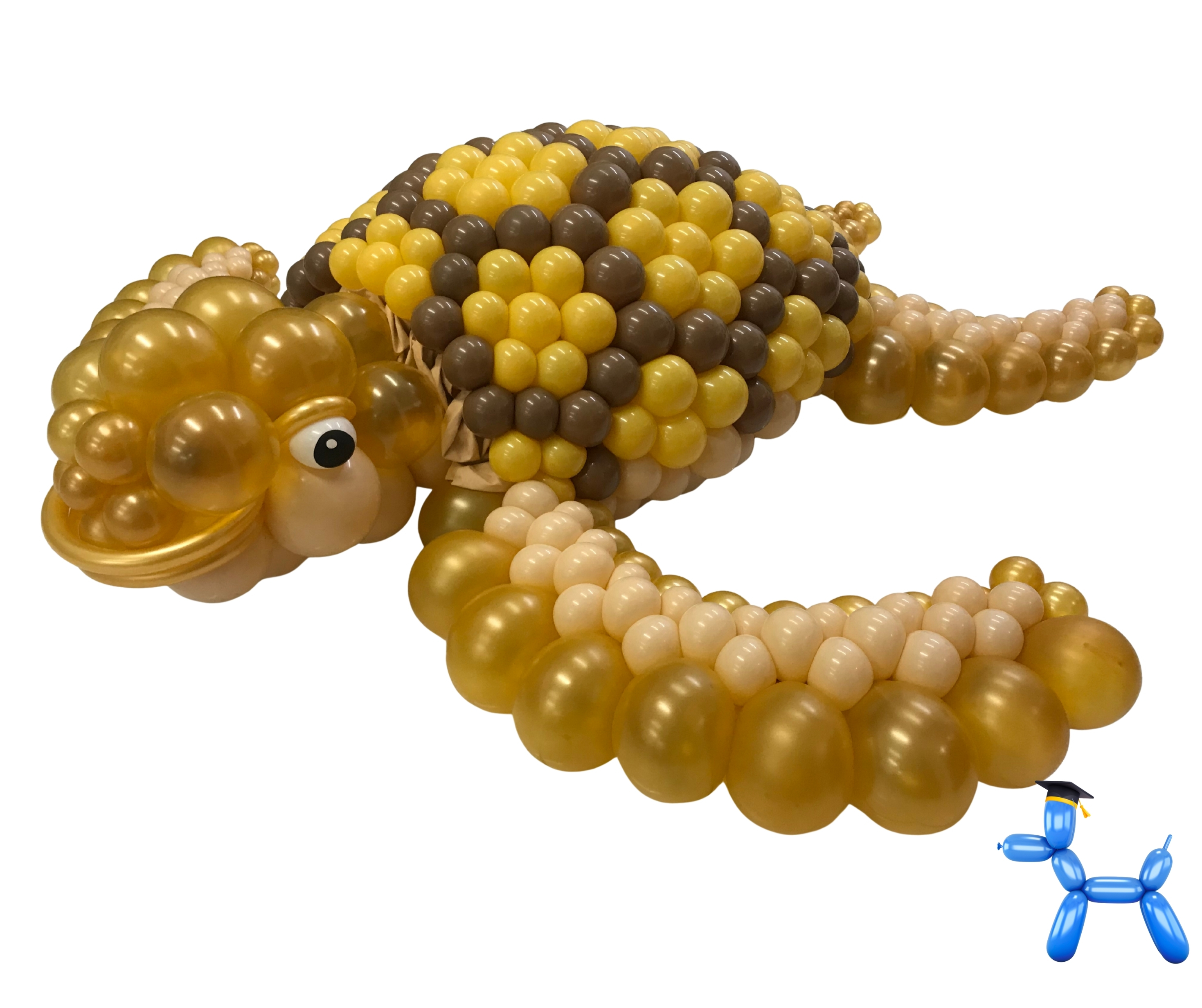 Arte com Balões — Balloon 360