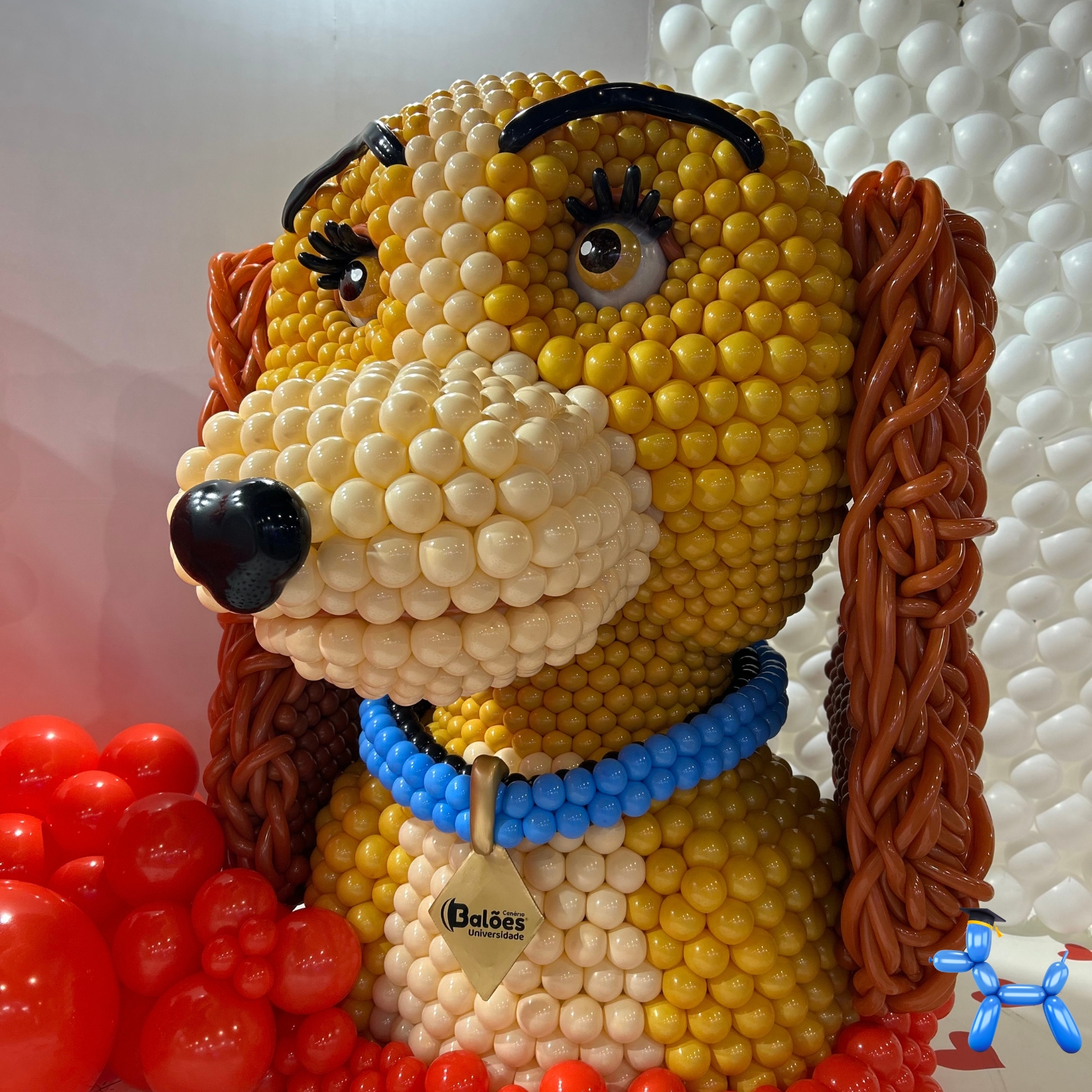 Arte com Balões — Balloon 360