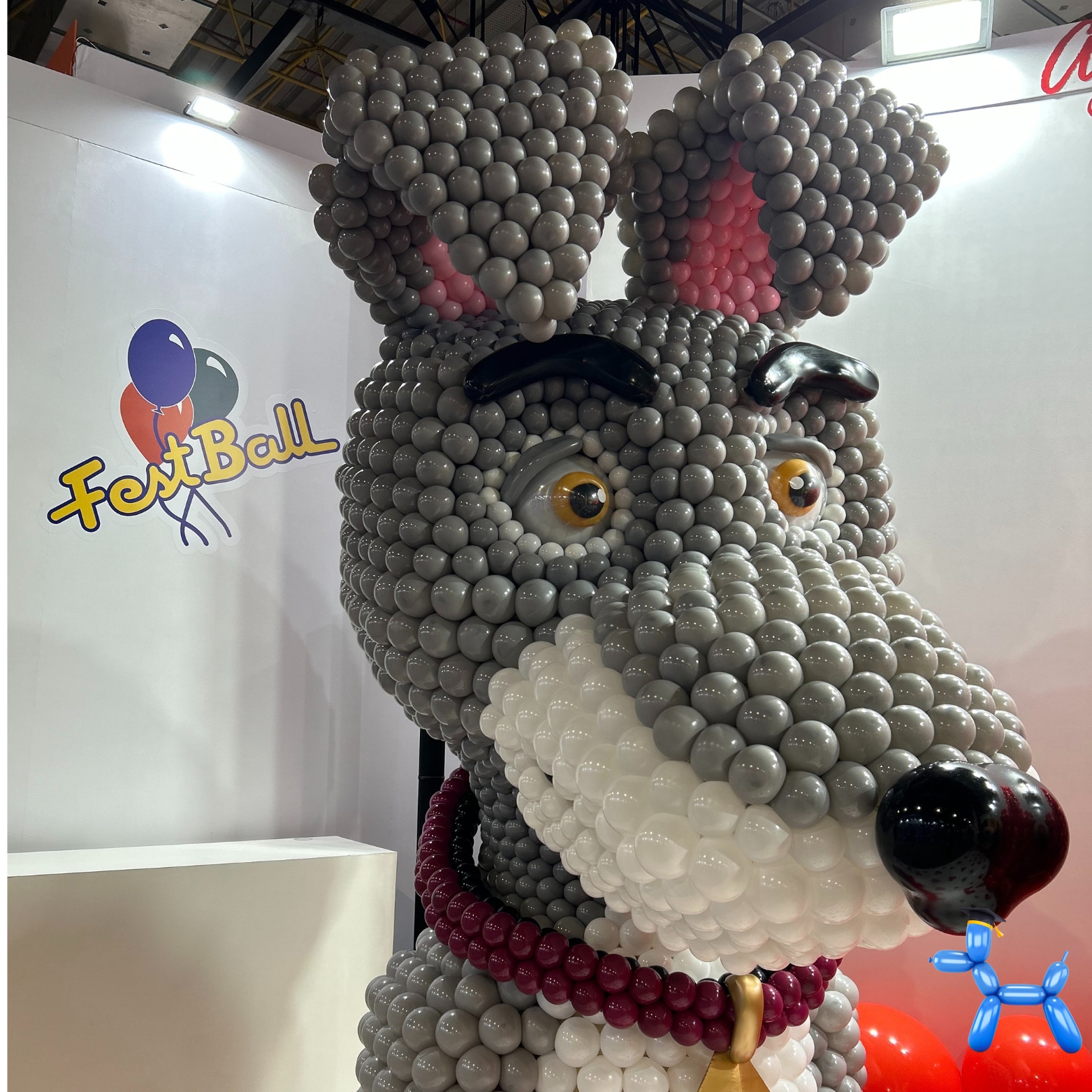 Decoração — Balloon 360
