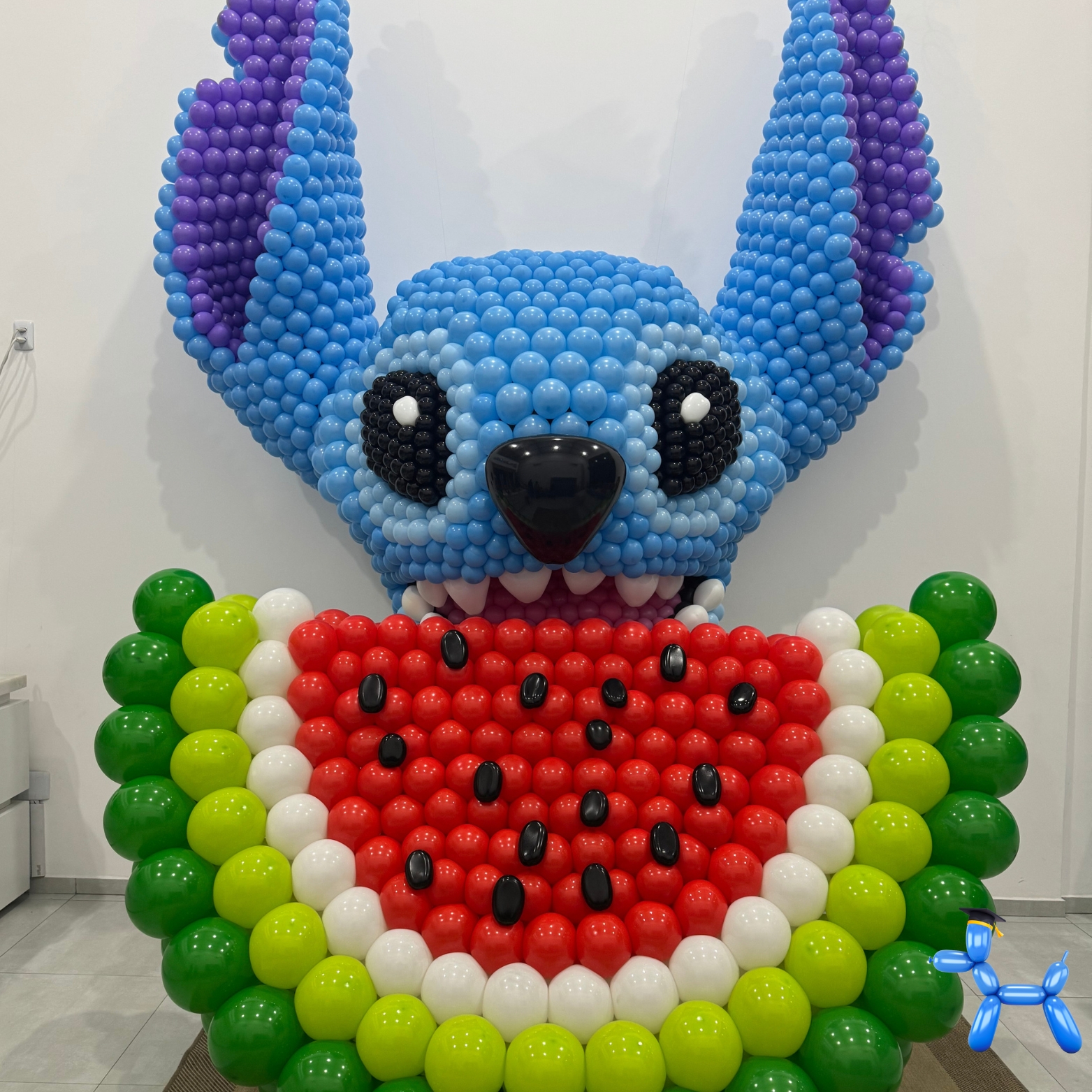 Arte com Balões — Balloon 360
