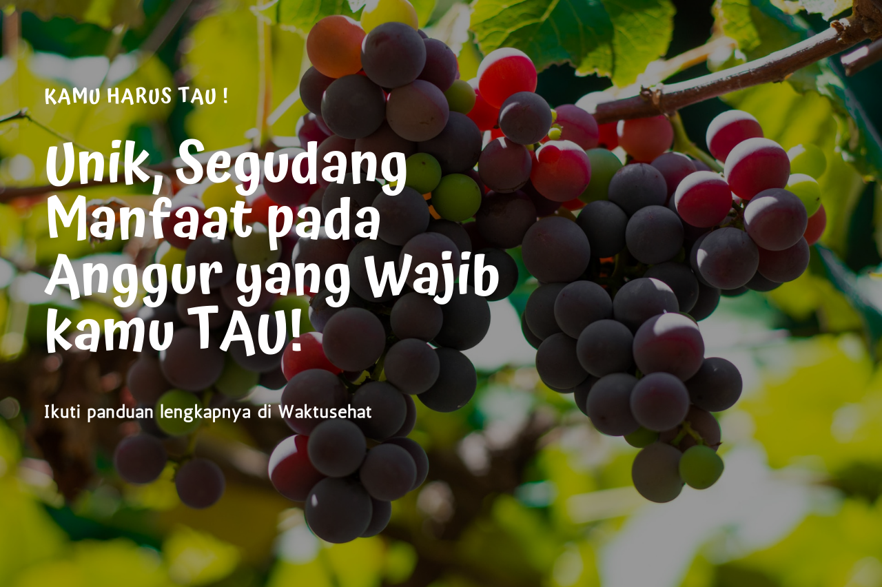 Asal Usul Buah Anggur - Unsplash