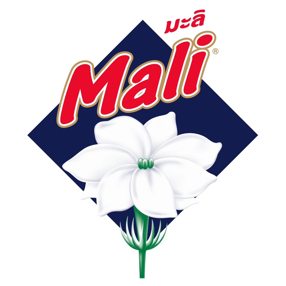 The Thai Dairy Industry Co., Ltd