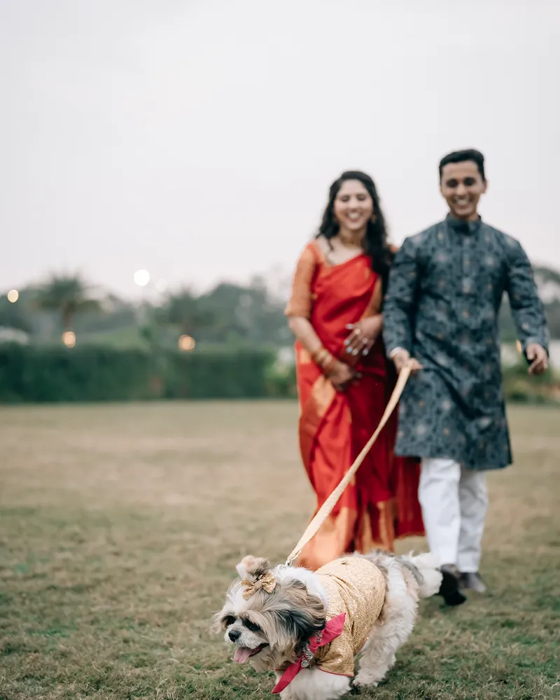 engagement
