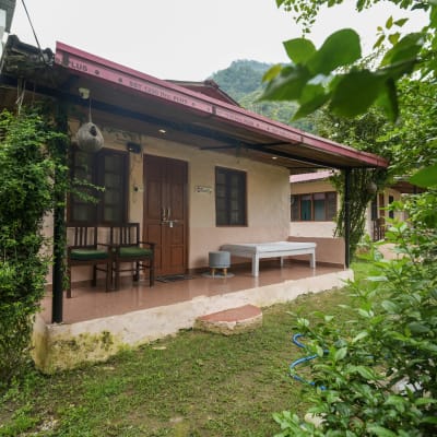 Shiv Shakti Yogpeeth - Photo 2