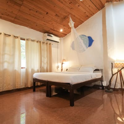 Shiv Shakti Yogpeeth - Photo 4