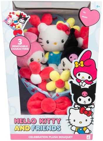 Vue 2 de Hello Kitty And Friends