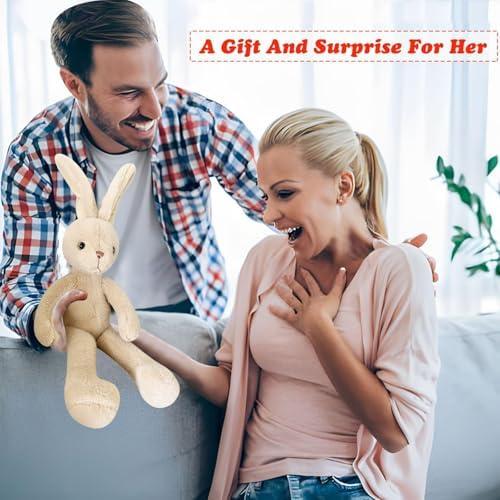 Vue 2 de Allofuu Doudou Lapin En