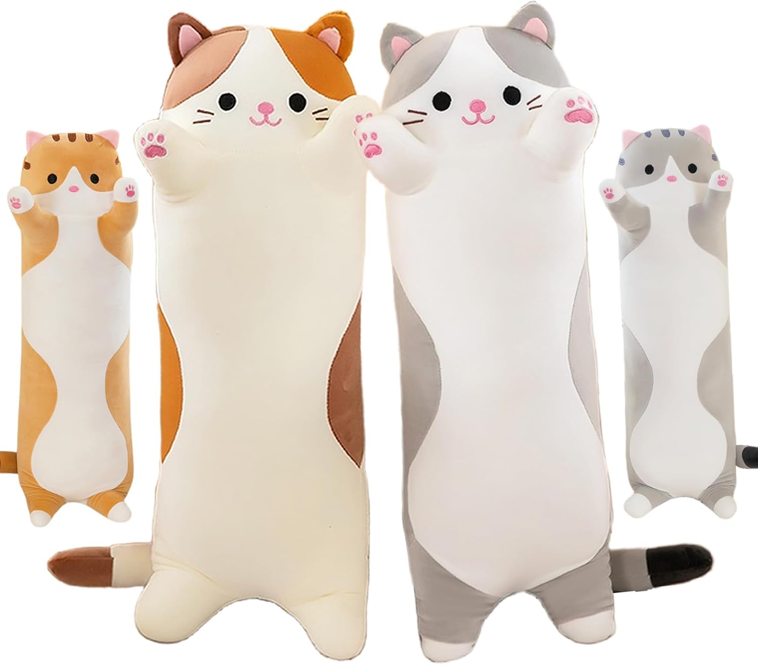 Coussin De Chat En